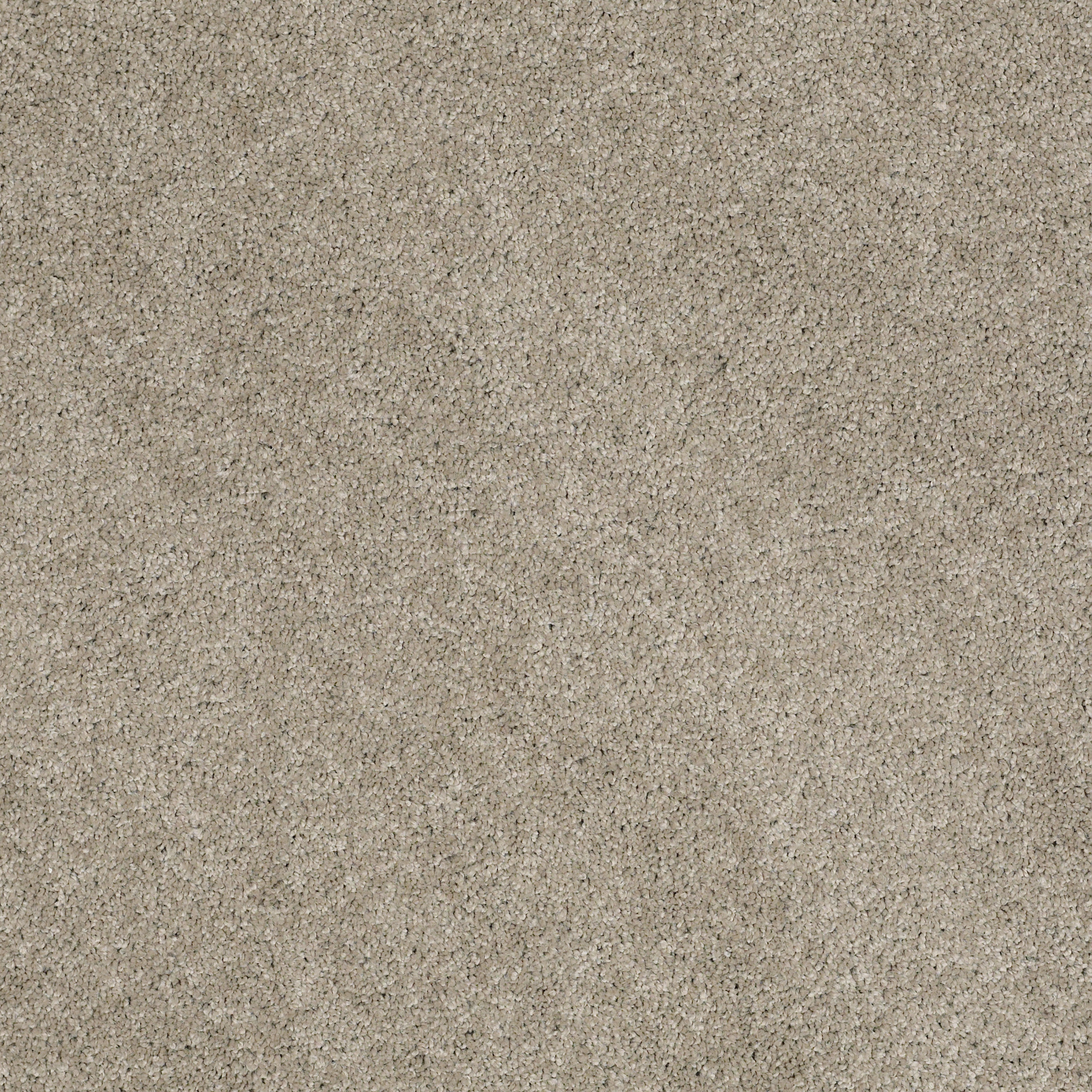 WHY NOT ME STEELE BLUE MAIN