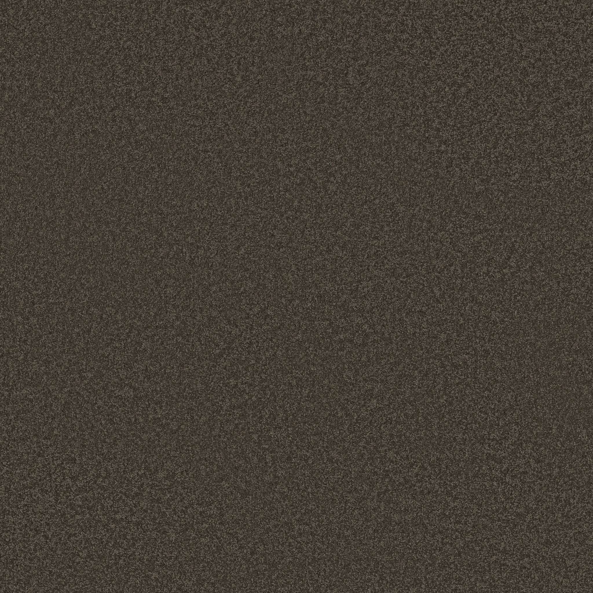 SHINGLE CREEK I 12 ARROWHEAD MAIN