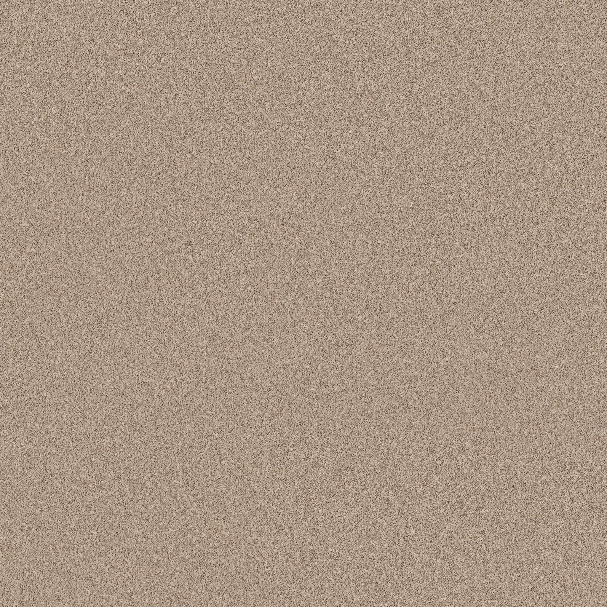 PURE AFFECTION S LOFT MAIN