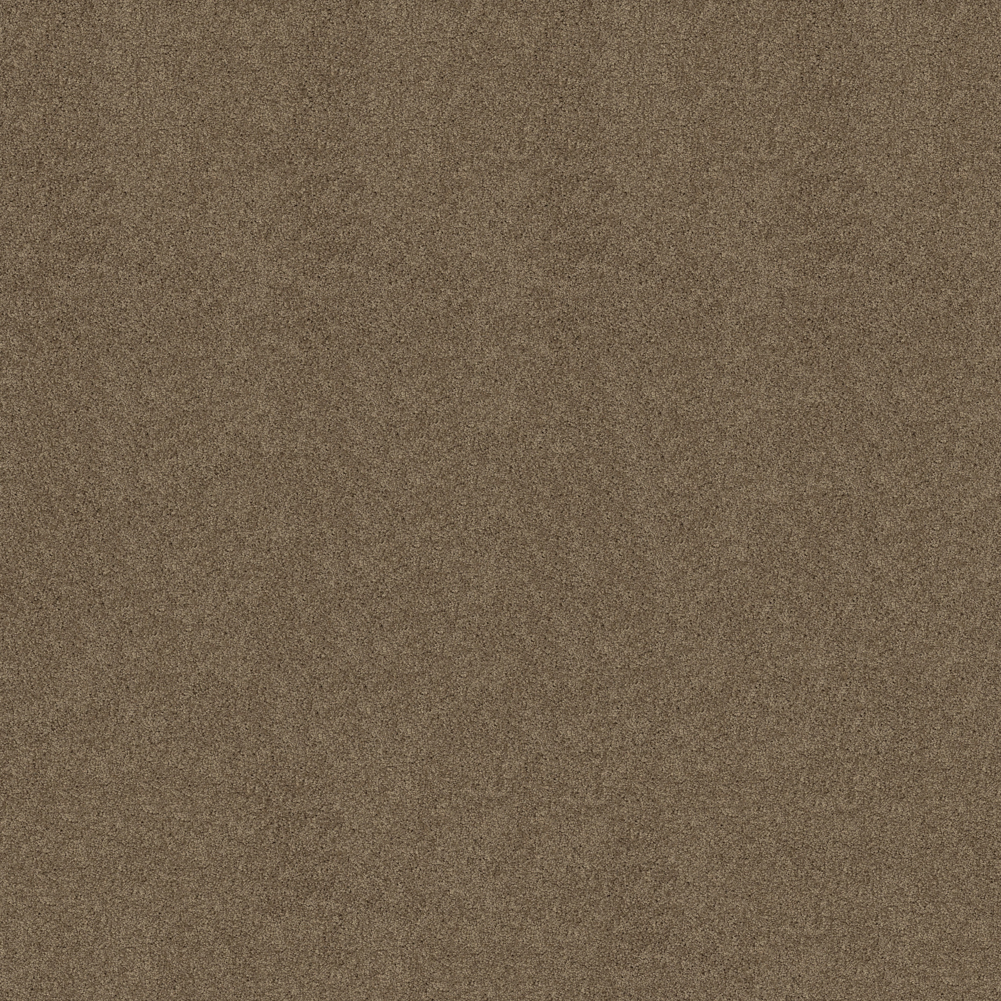 MY INSPIRATION I SAFFRON MAIN