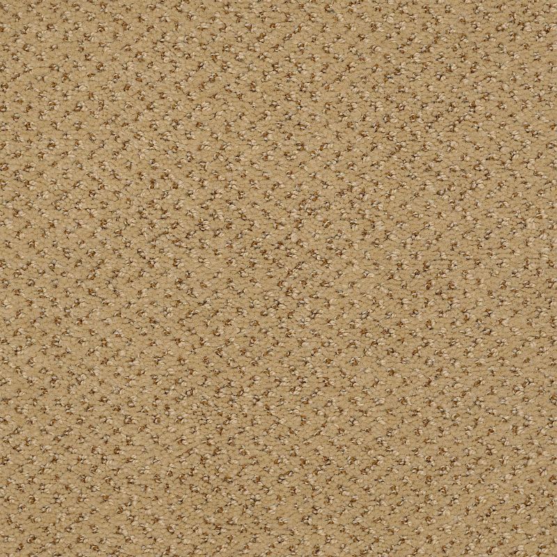 Legend Falls Broadloom Carpet in Cherokee color, 100% nylon, 12ft wide, 150ft roll
