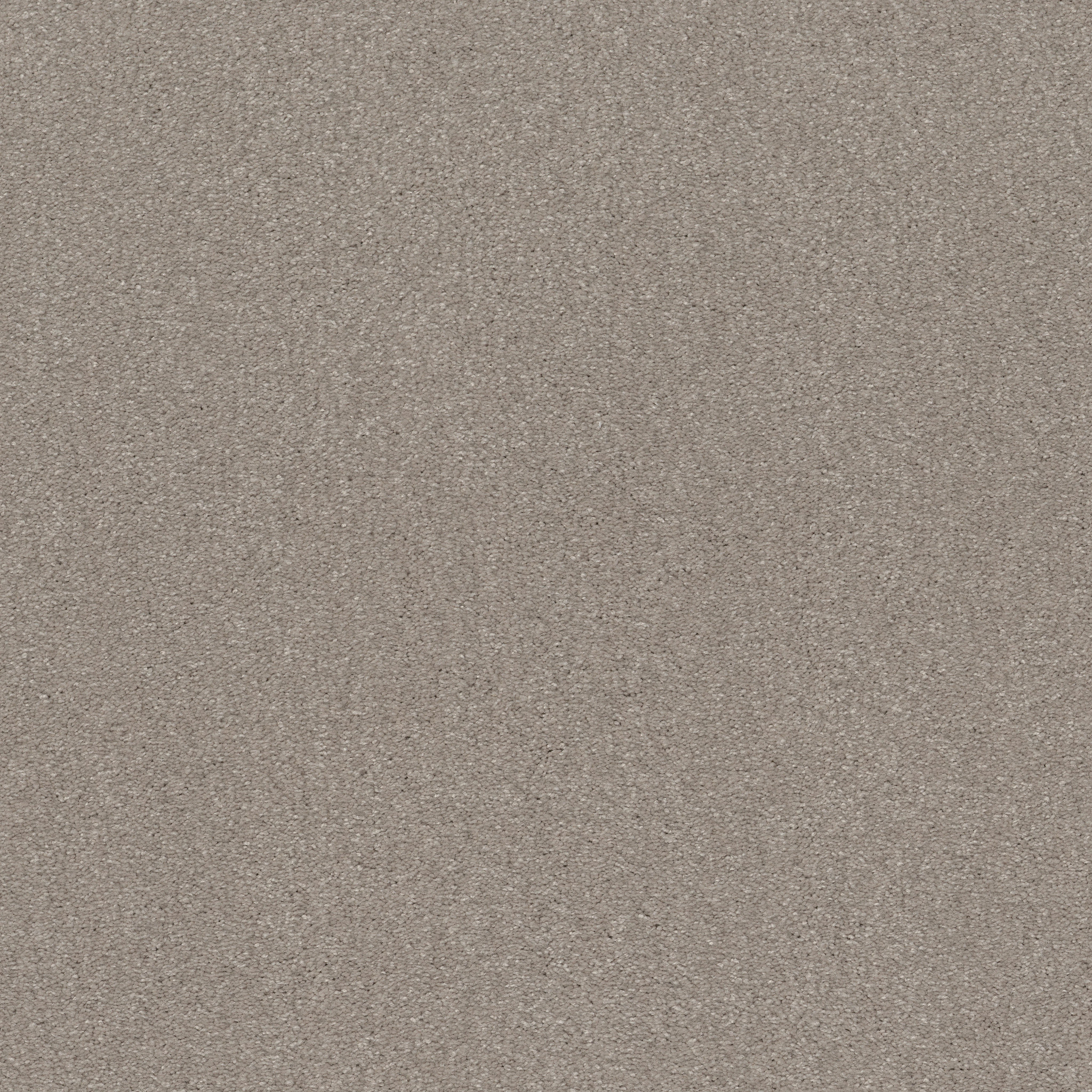 WELL GROUNDED II 15 GREIGE MAIN