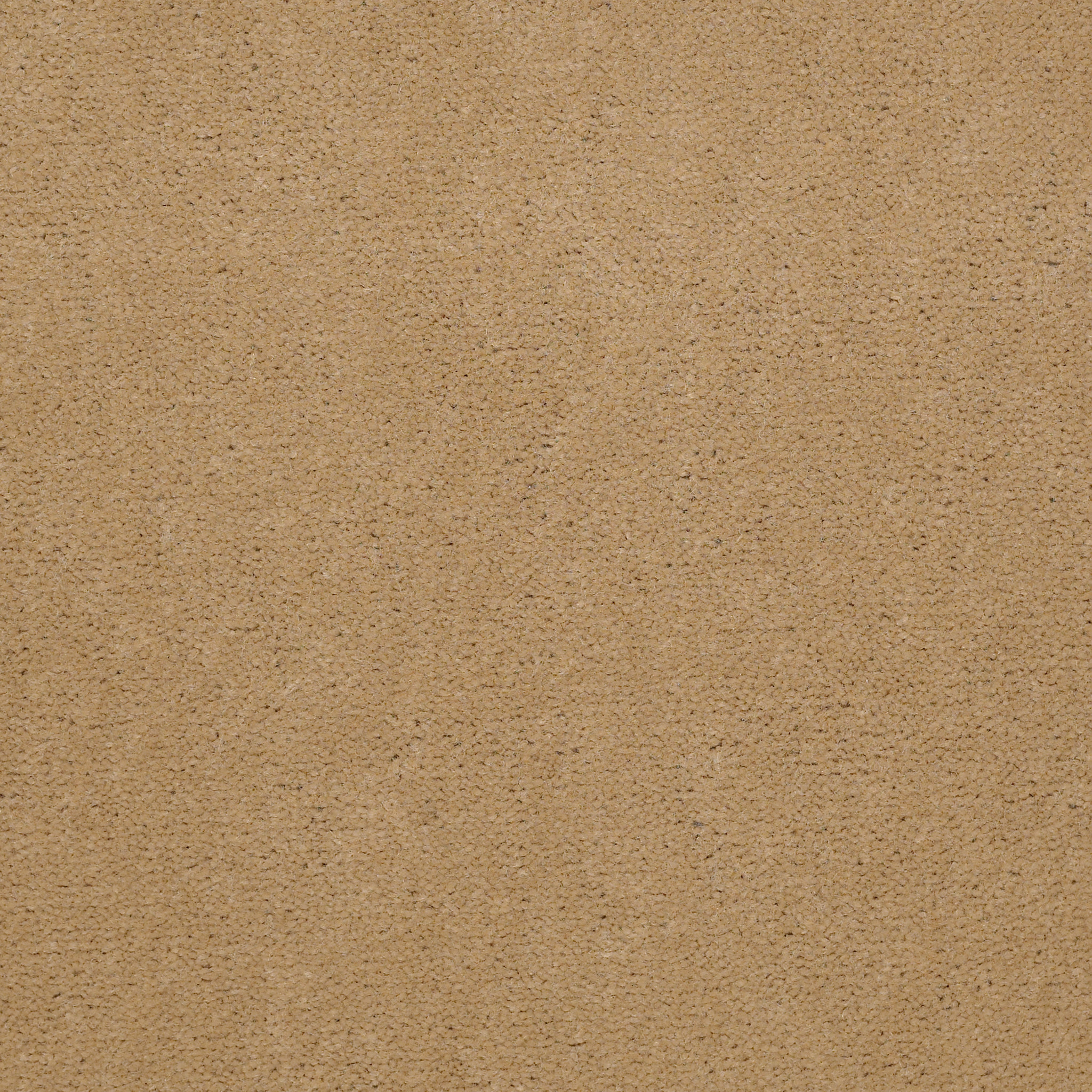 BAYTOWNE-III-36-J0065-CAMEL-65147-main-image