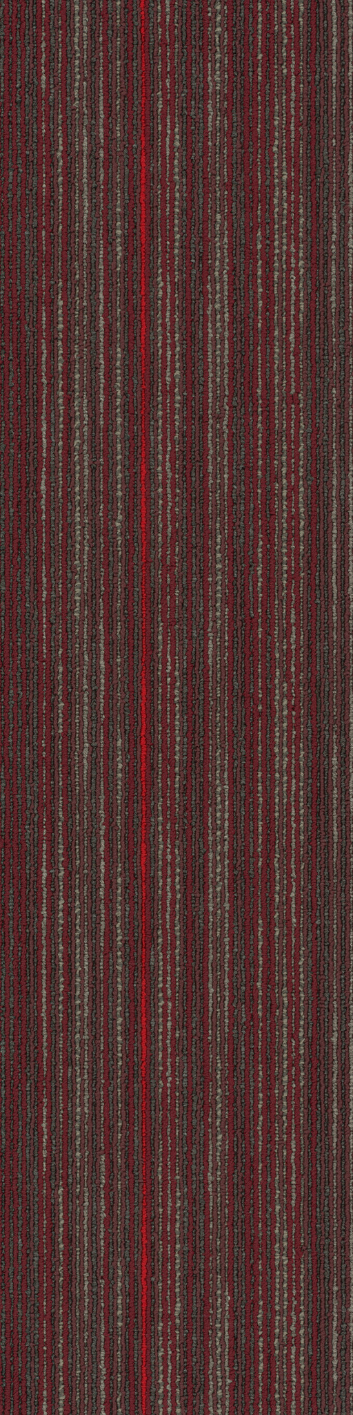 STELLAR-54902-QUIXOTIC-00800-main-image