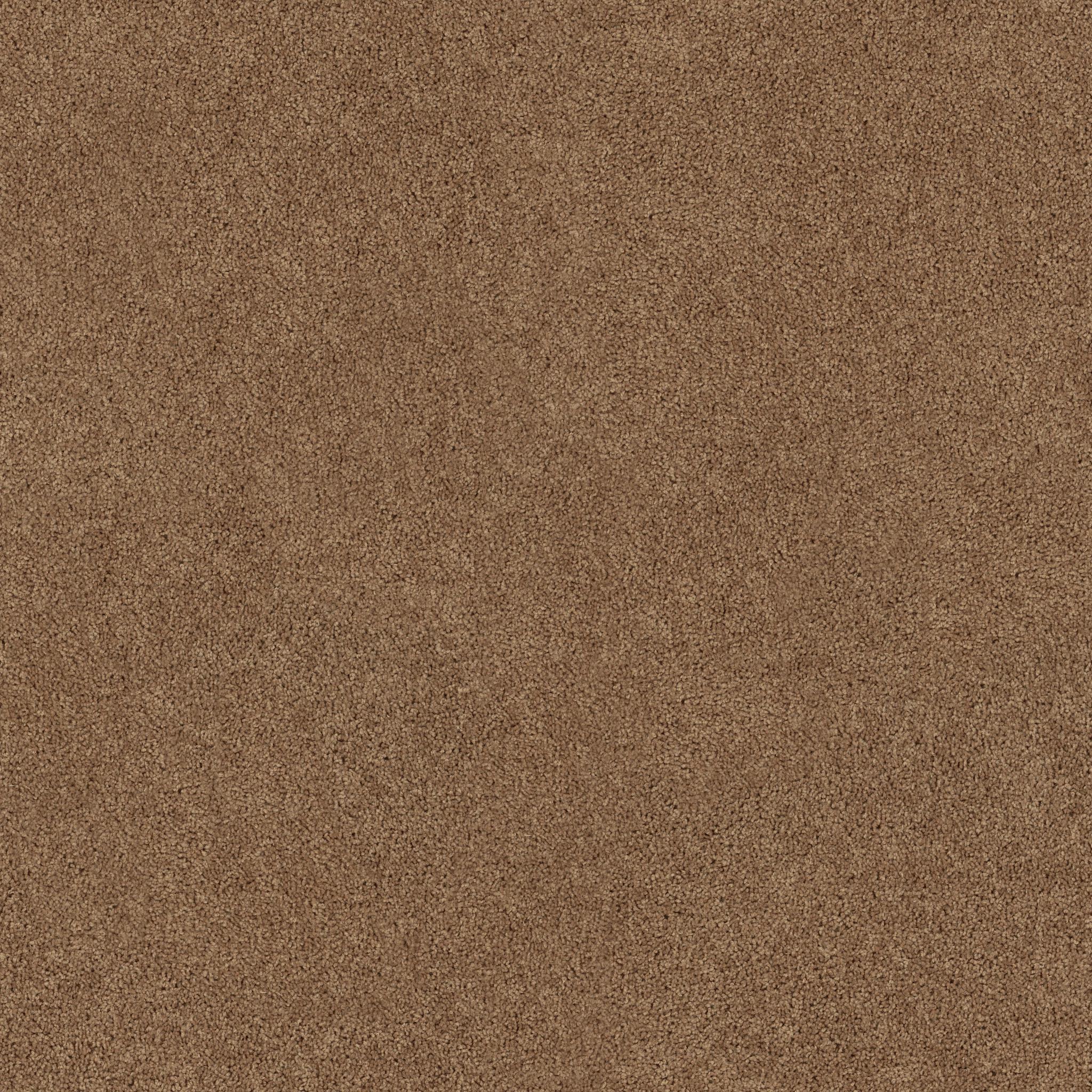 All Star Weekend III 12' by Shaw Floors