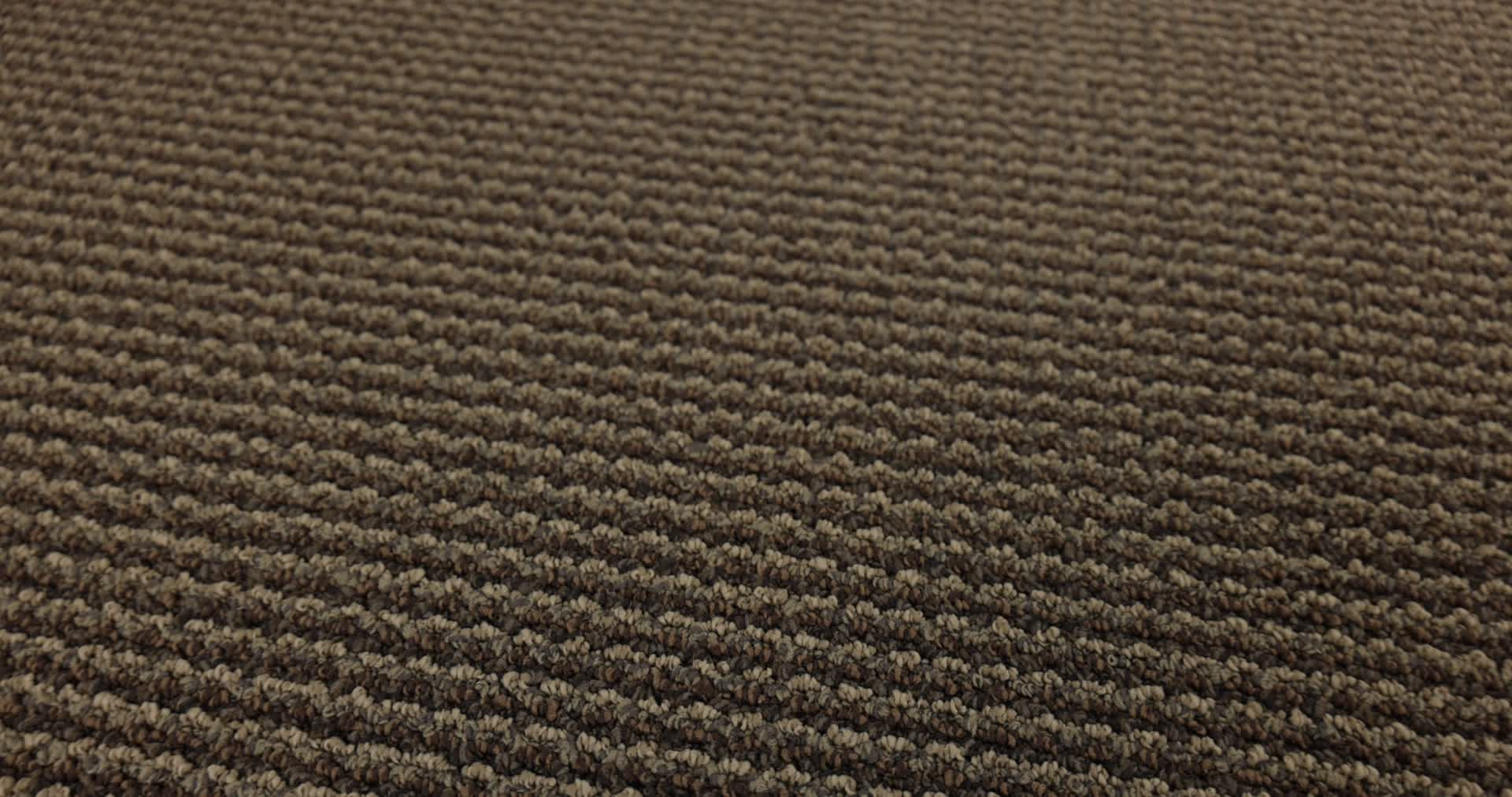 Tint Brownstone Rotation360