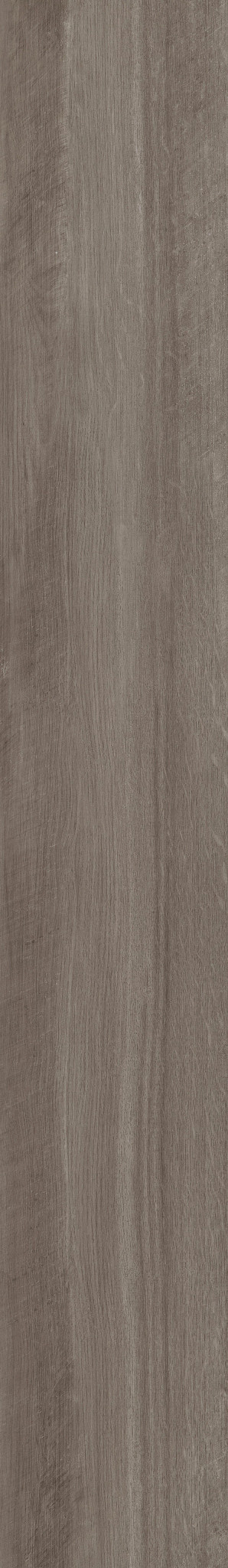 PALADIN PLUS OYSTER OAK 1TO1