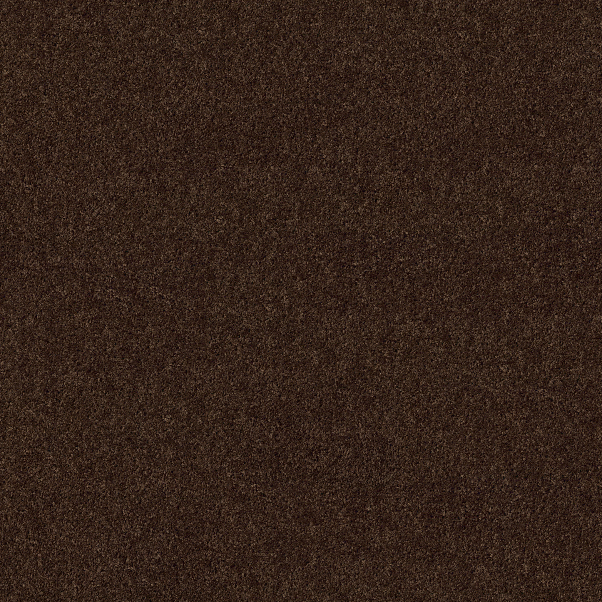 BREAK AWAY - SOLID COFFEE BEAN MAIN