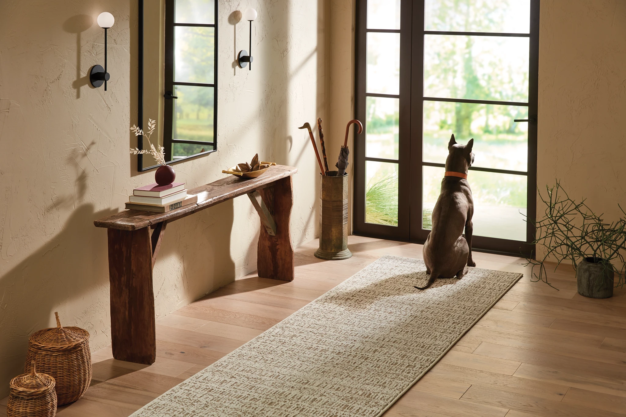 Broadloom carpet in a serene entryway with a dog looking out the window