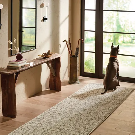 Rugs Care and Maintenance Tips Rugs Care and Maintenance Tips