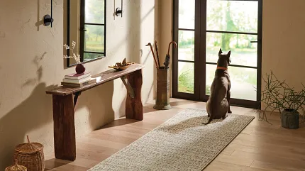 Broadloom Carpet 12 ft Width in Stylish Home Entryway Broadloom carpet in a serene entryway with a dog looking out the window