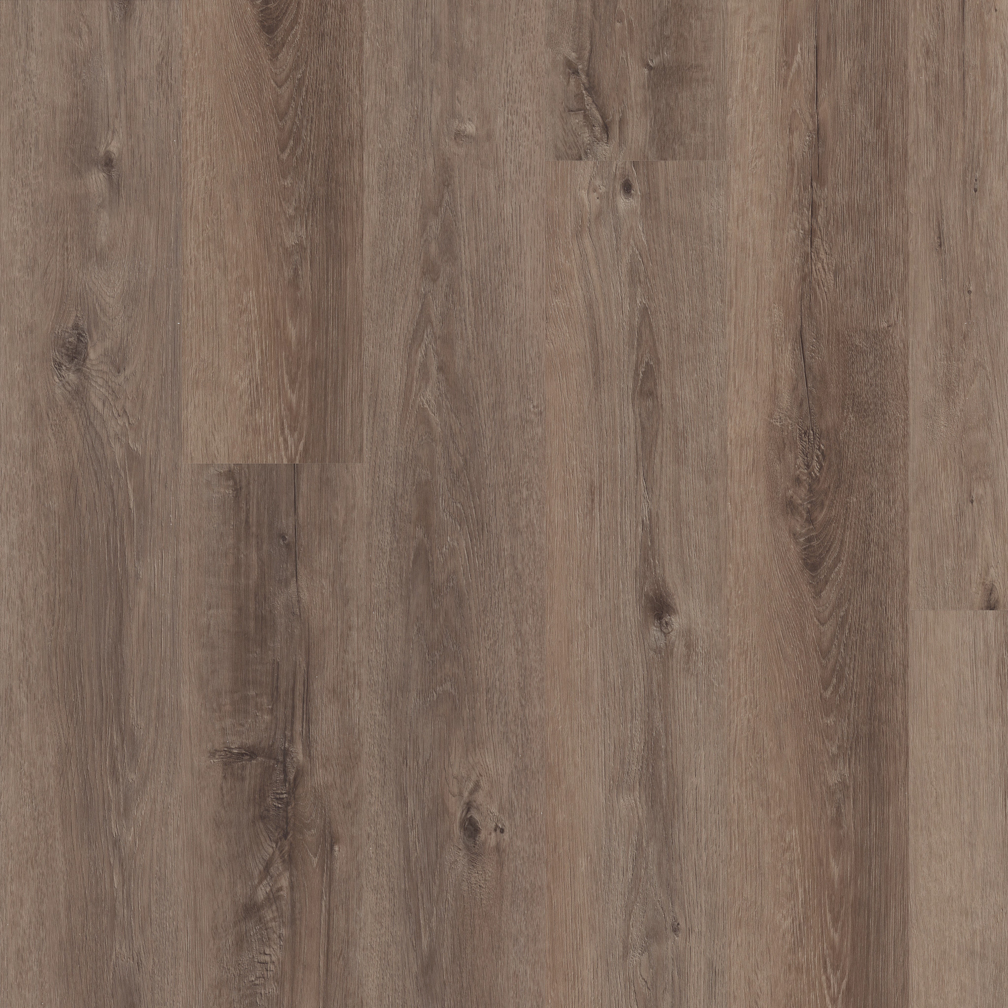 MALTESE CINDER OAK MAIN