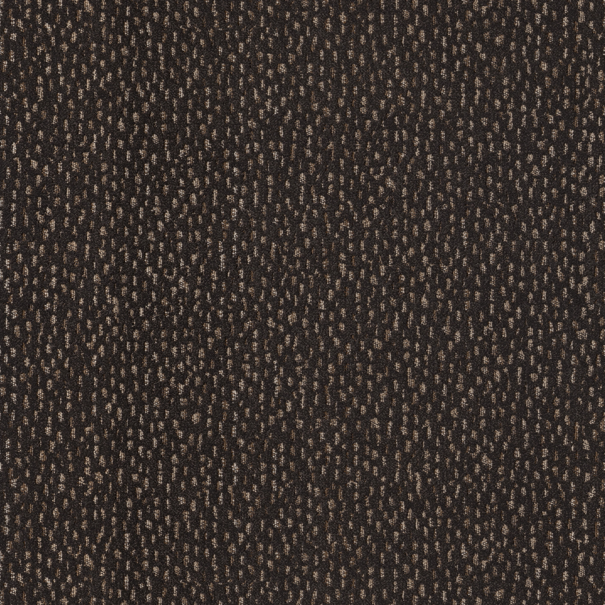 AMBITIOUS DARK ROAST MAIN