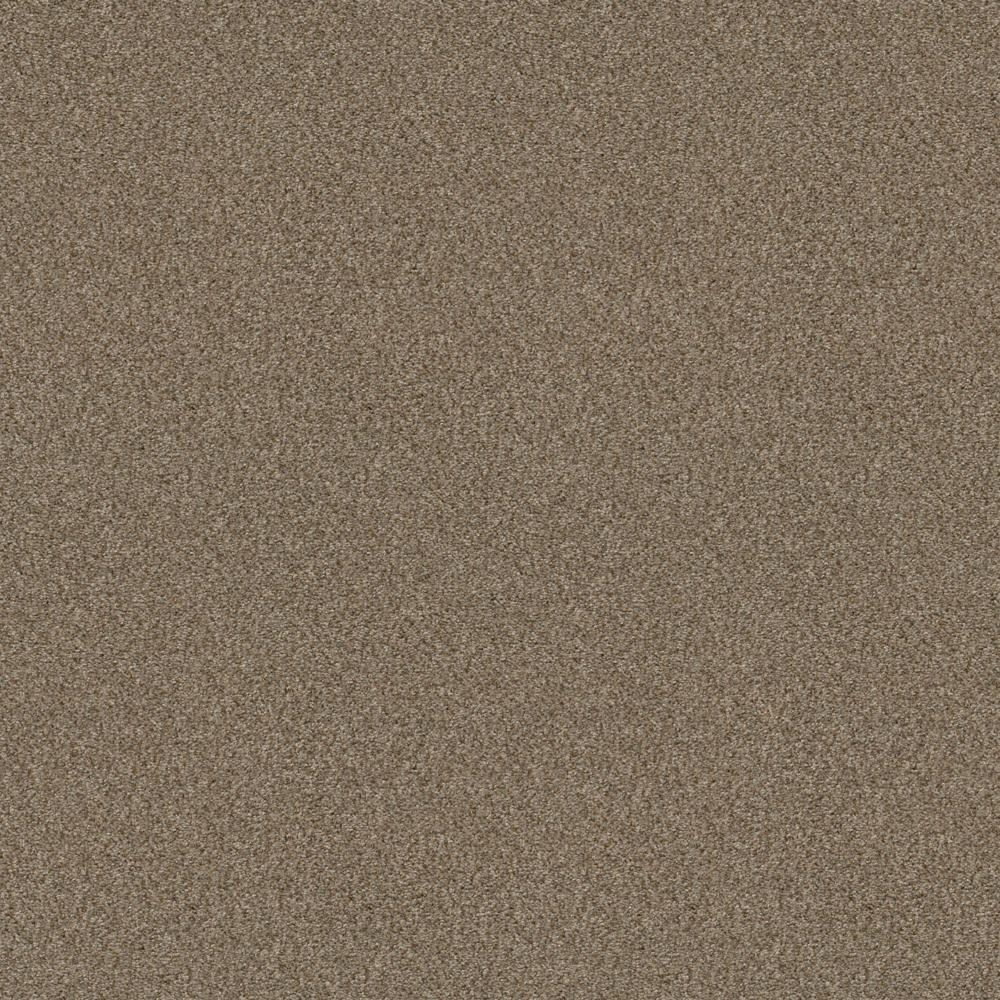 CABANA LIFE (B) MESA MAIN