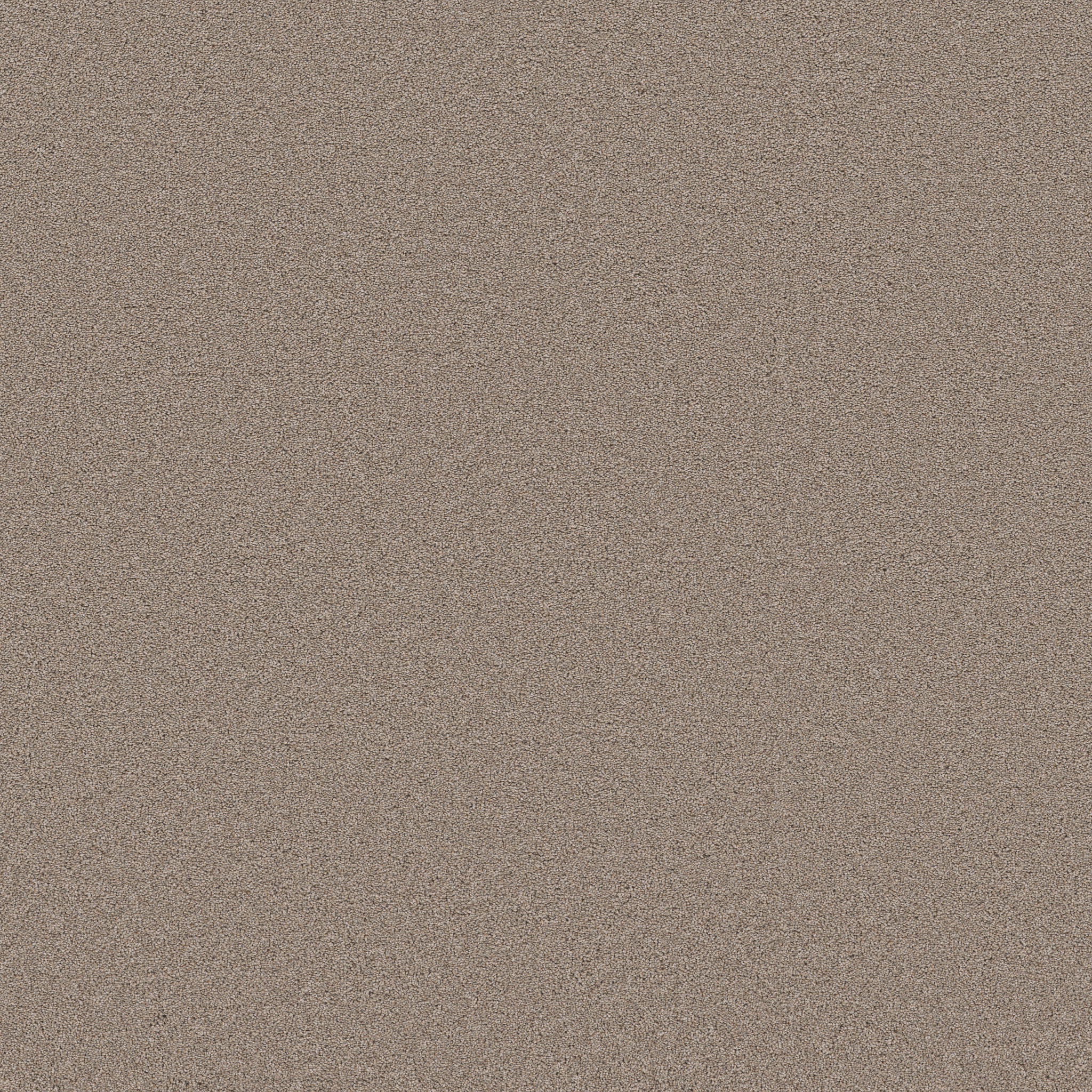 BLENDED TOUCH II WOOL BLEND MAIN