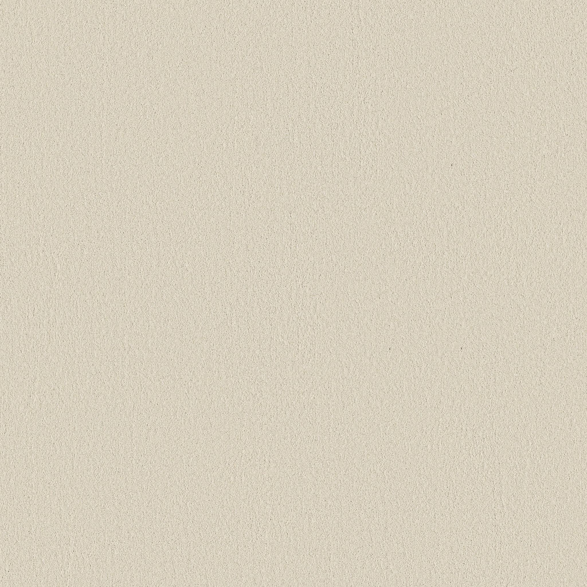 Smooth Tone Blue in Sweet Cream