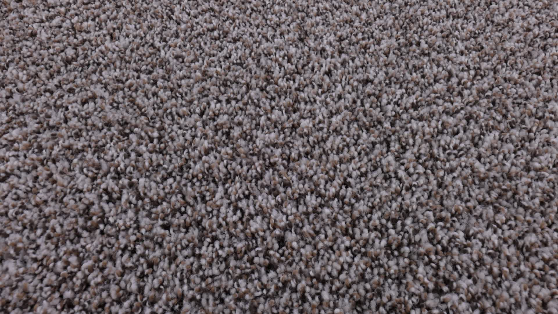 BREAK FREE STUDIO 360PROD