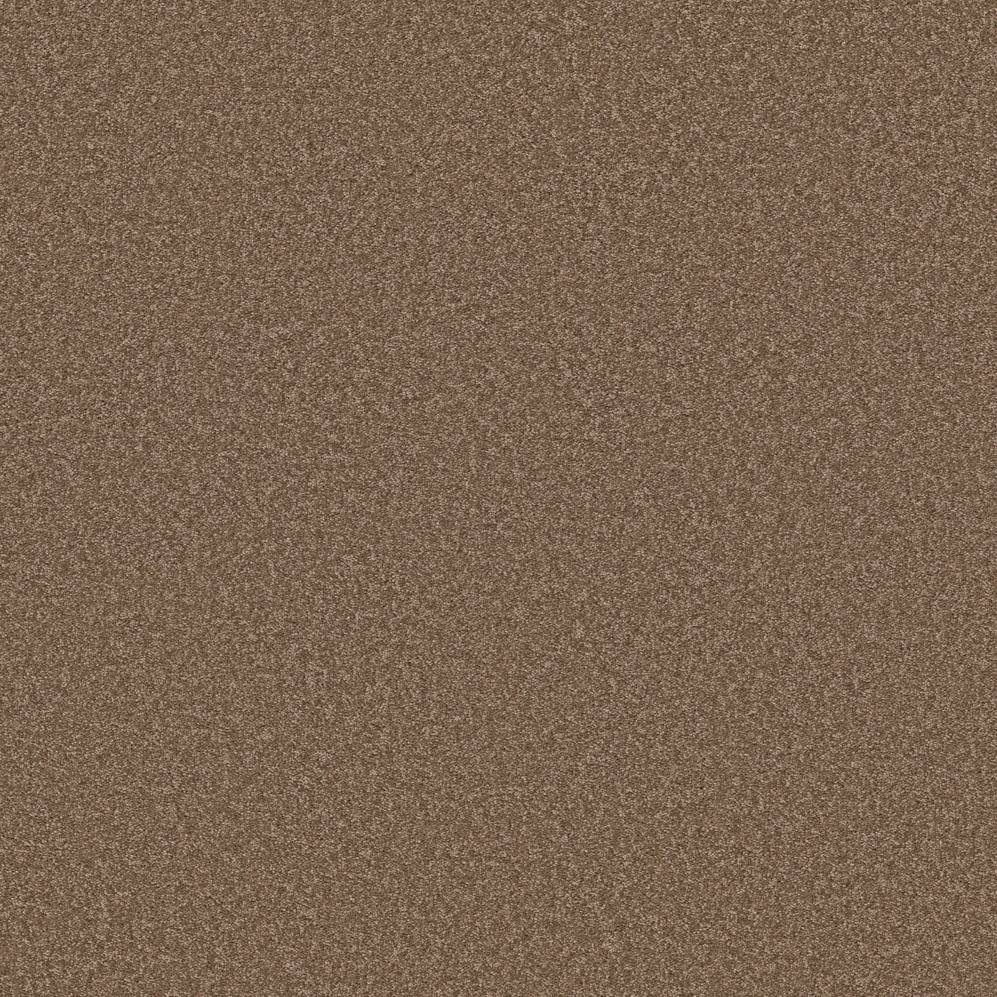 HONEST TO GOODNESS BRUSHED SUEDE MAIN