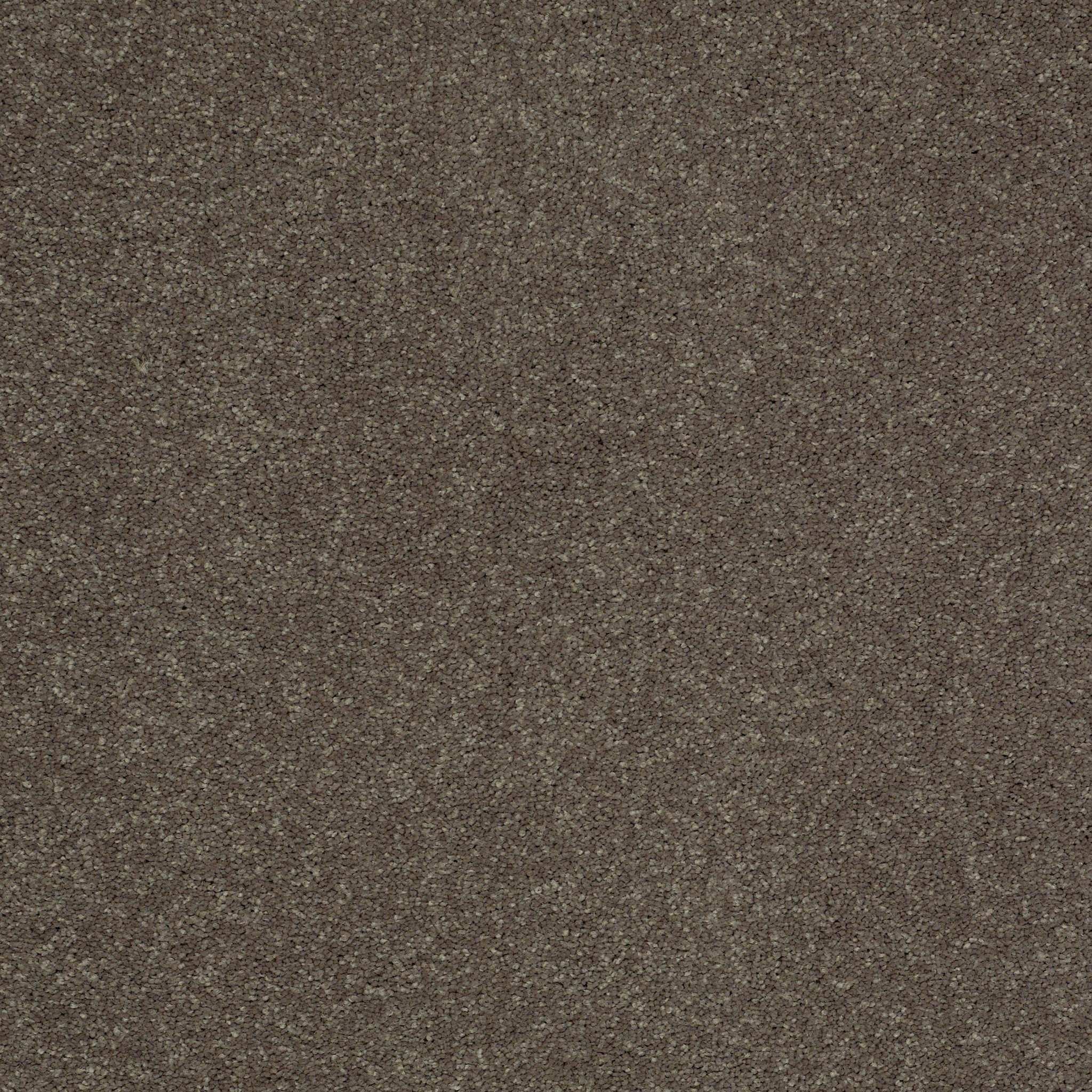 SHINGLE CREEK II 12' CASTLE ROCK MAIN