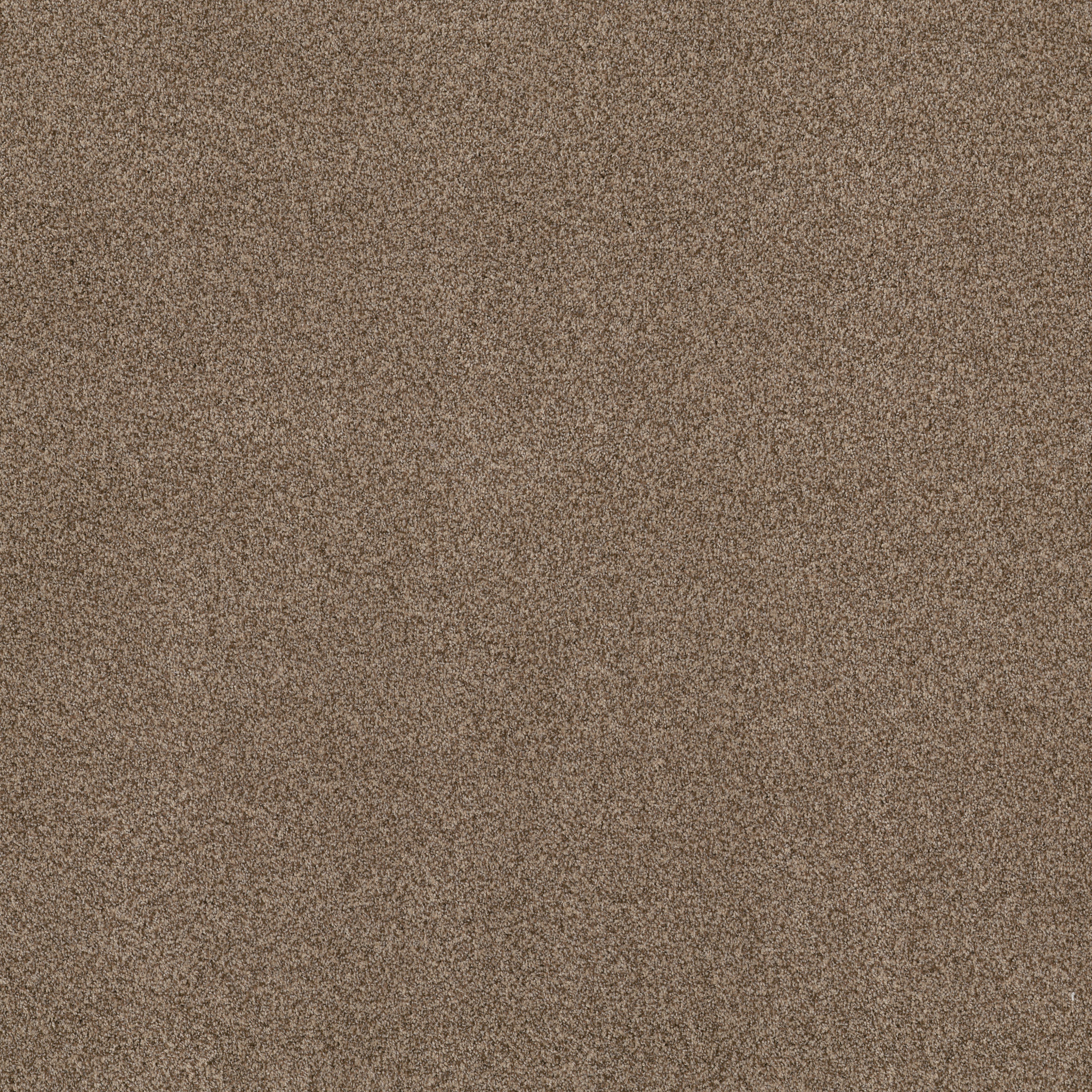 BOSSA NOVA RANCH MAIN