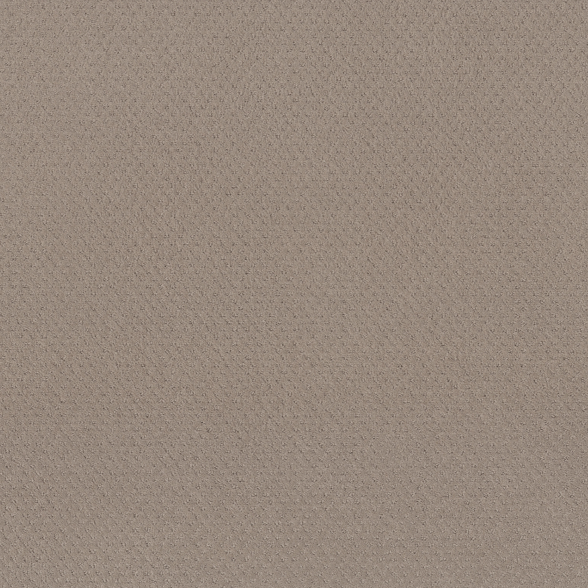 DEL VISTA BARISTA MAIN