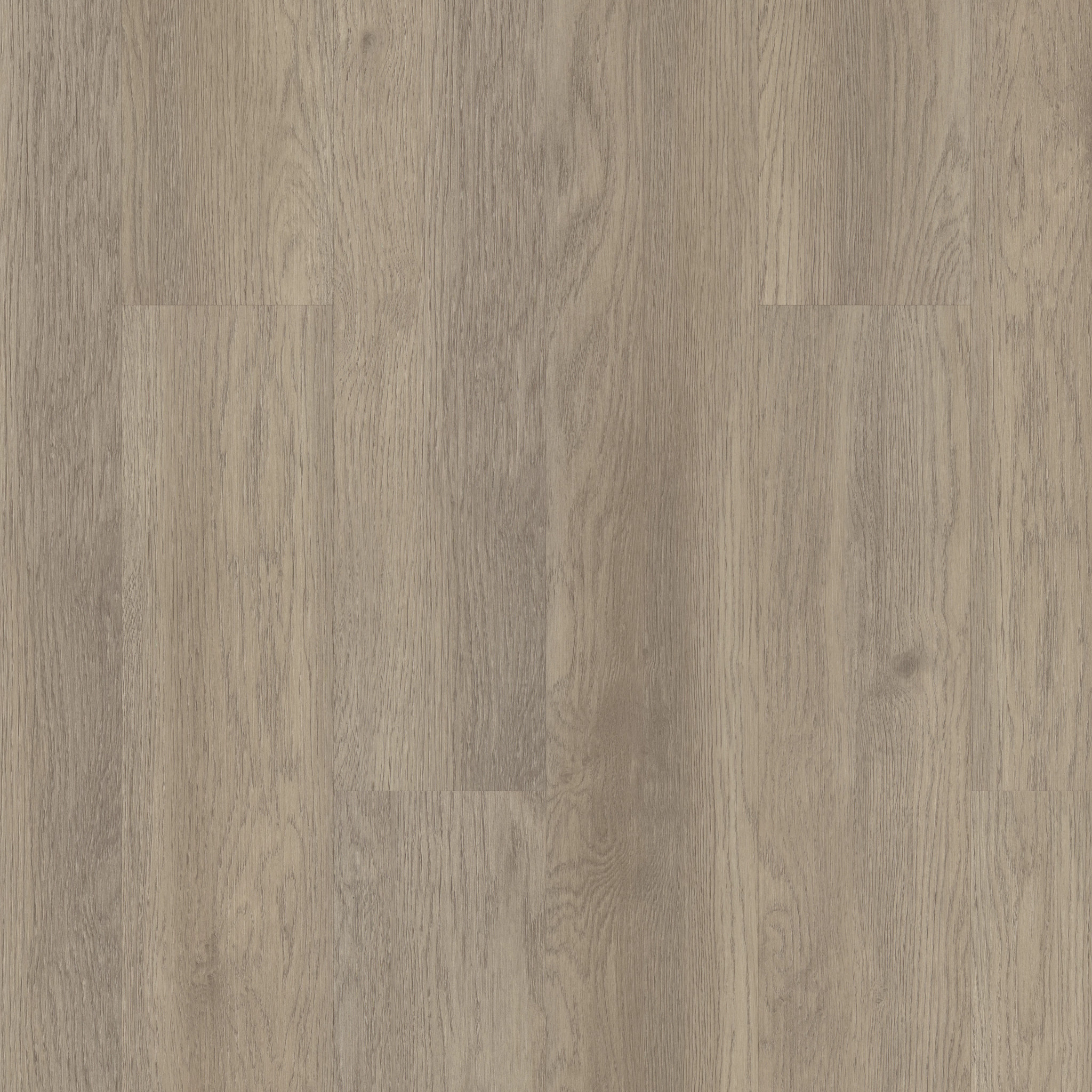 Infinite 8 - in Salt River | Shaw Floors