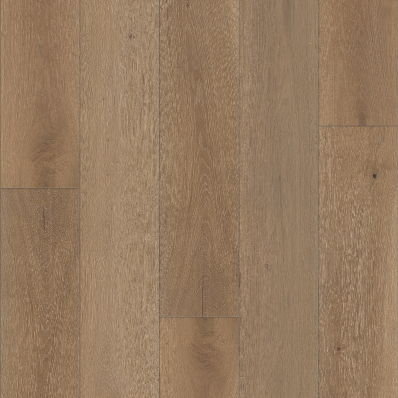 EXPRESSIONS 9.5" in Kinetic by Shaw Floors