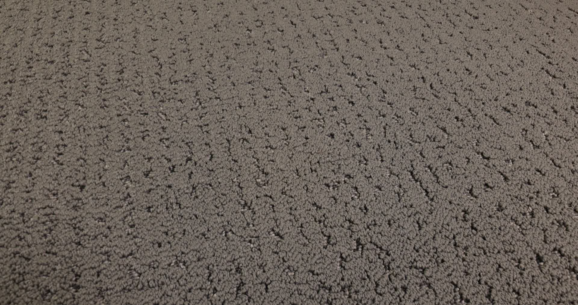 TANGENT WALNUT 360PROD