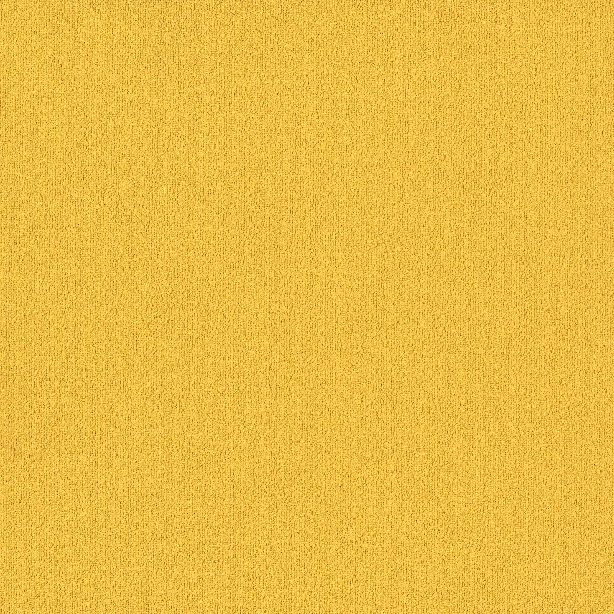 COLOR-ACCENTS-BL-54584-CITRUS-62201-main-image