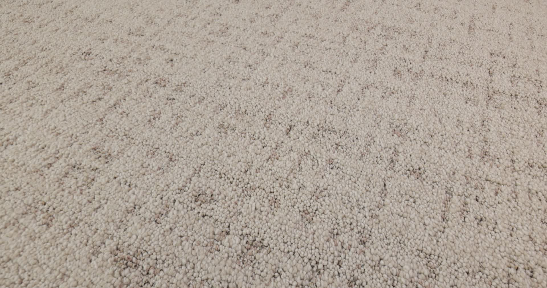 IN STEP BLUSH 360PROD