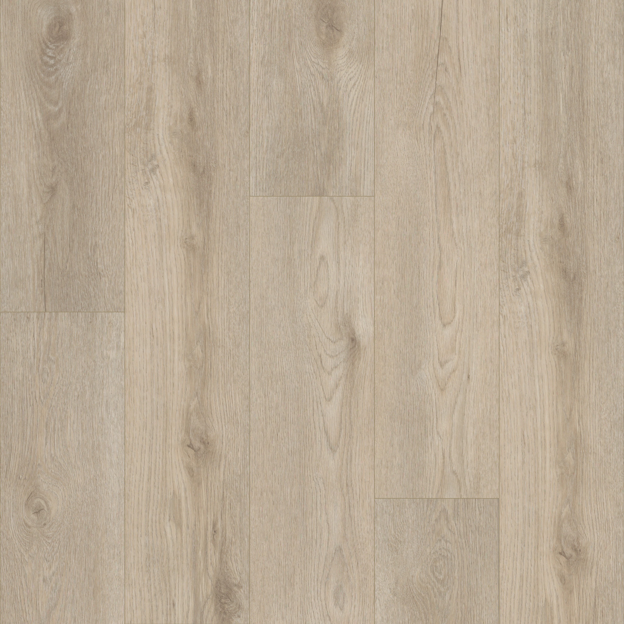 PALADIN PLUS SOFT BEIGE MAIN