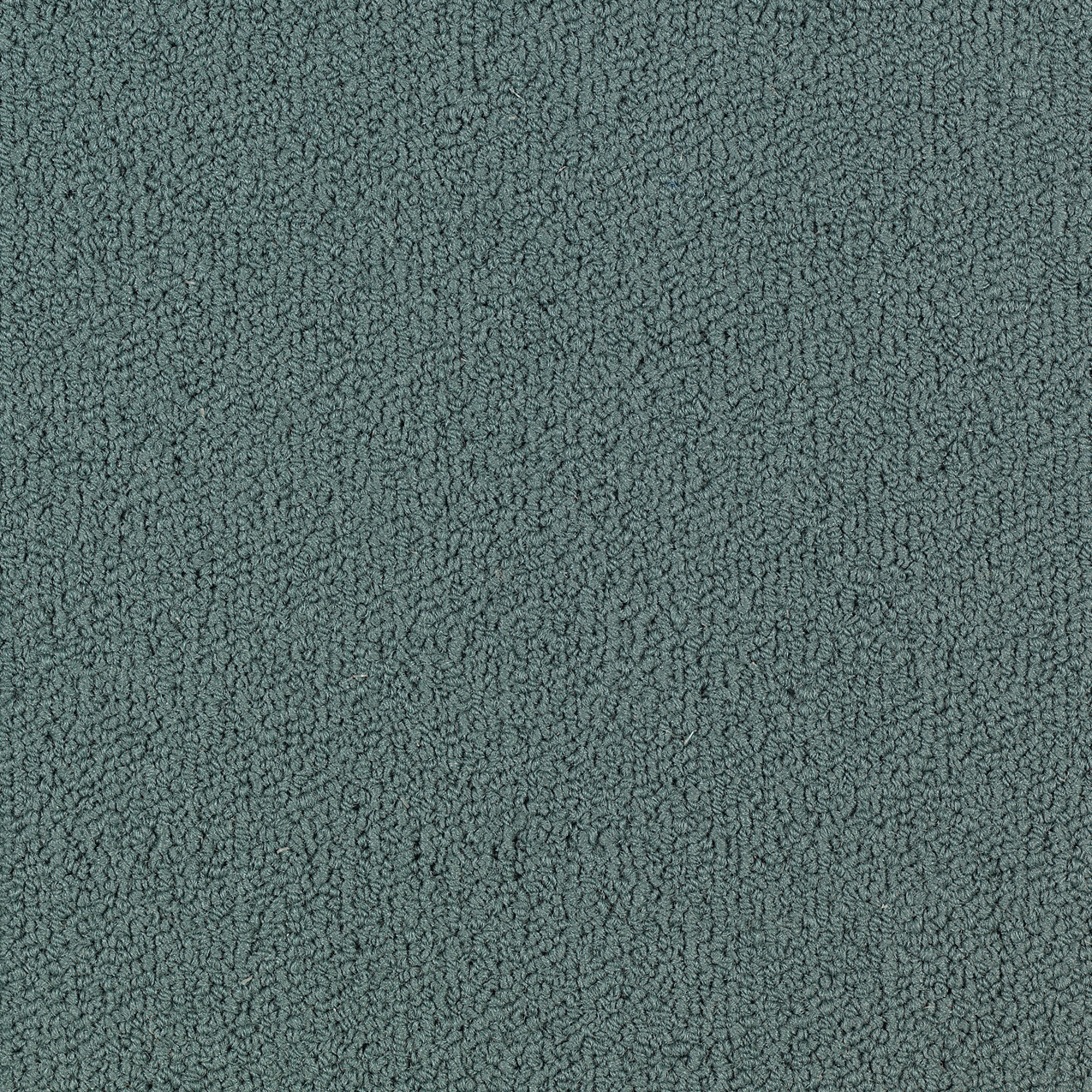 COLOR-ACCENTS-BL-54584-NORDIC-62447-main-image