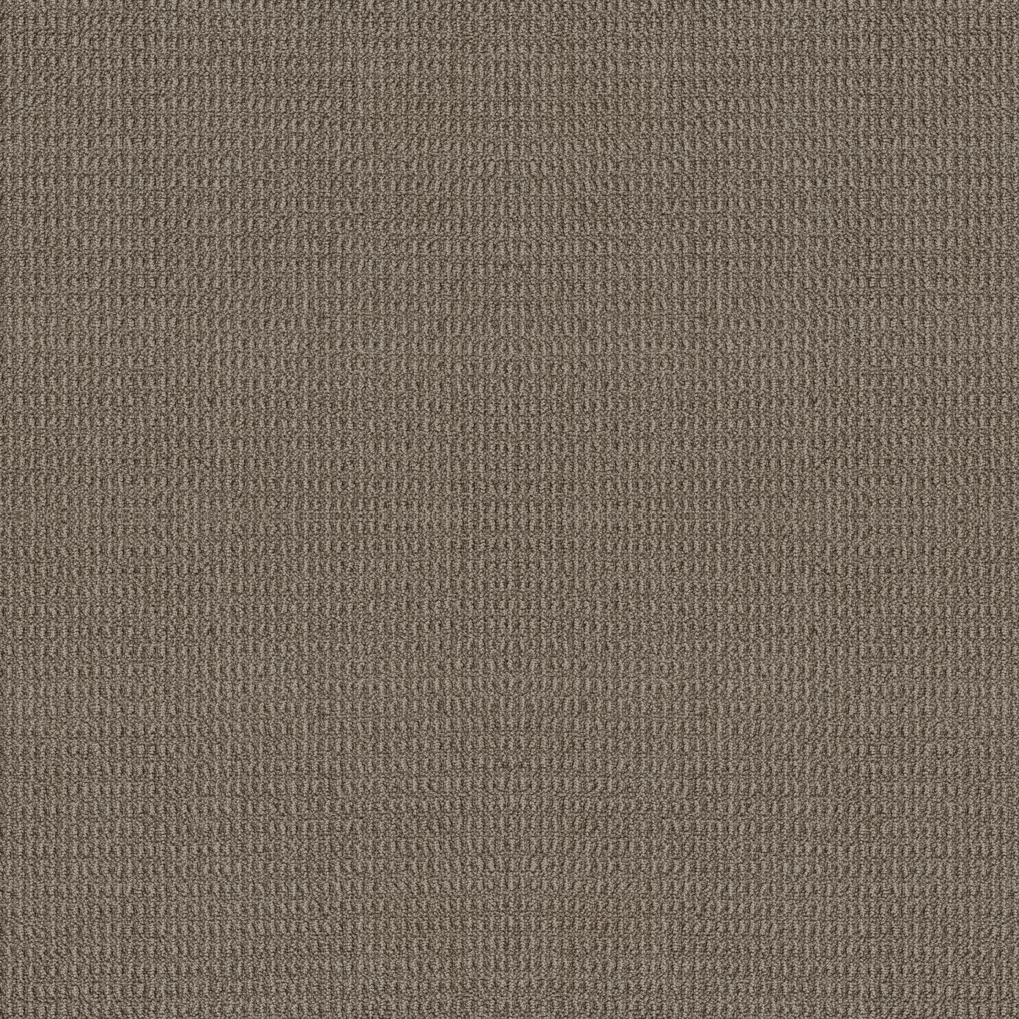 PORTOFINO TIMBER WOLF MAIN