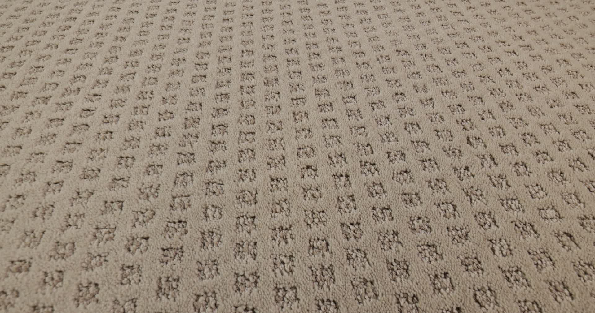 MY EXPRESSION AMARILLO 360PROD