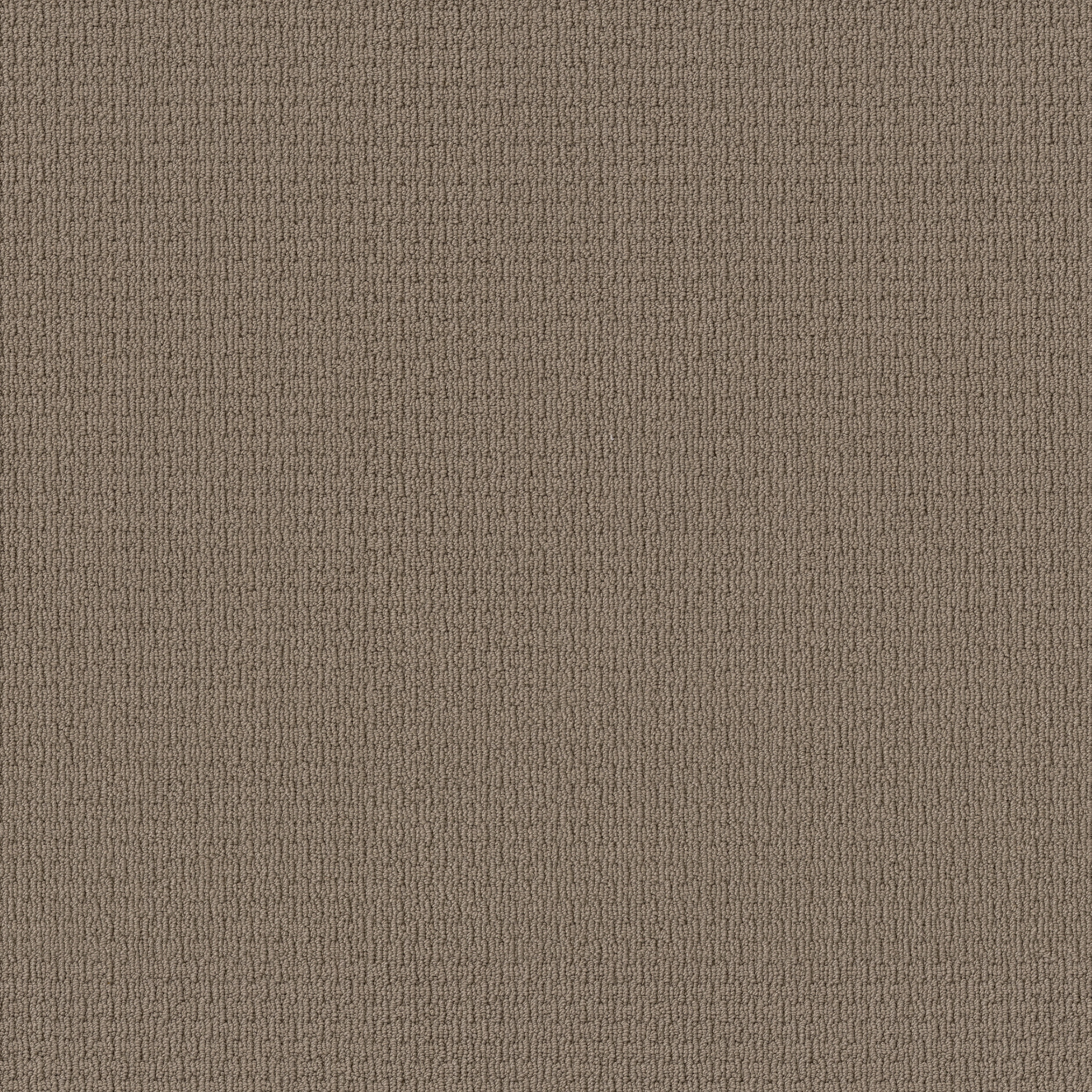 SAN SALVADOR SABLE MAIN