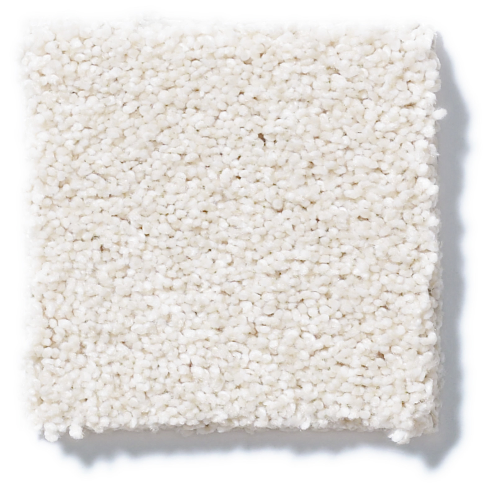 ALWAYS READY I SENTIMENTAL SWATCH