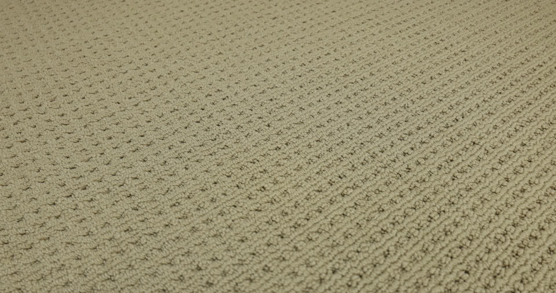 SAN ANTONIO GOLDEN 360PROD