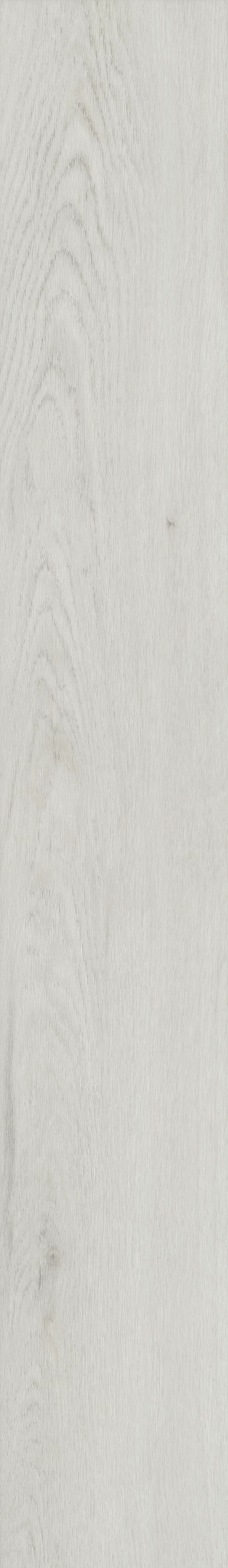 PALADIN PLUS FEATHER GREY 1TO1