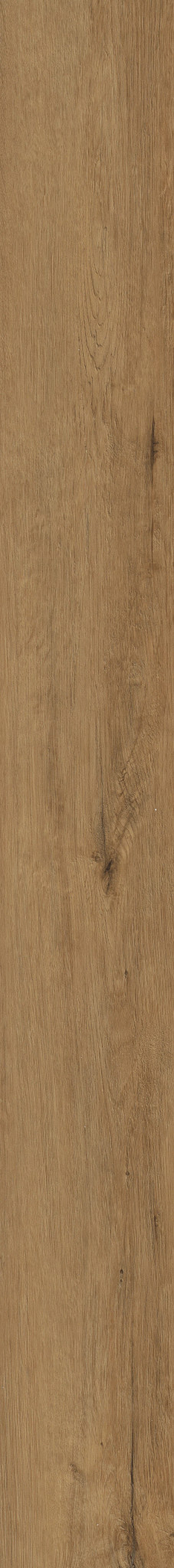 MALTESE RYE OAK 1TO1