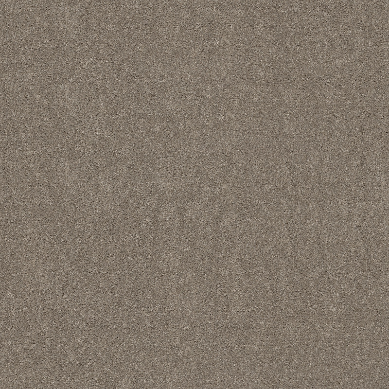 HOT TOPIC in Studio Loft by Shaw Floors