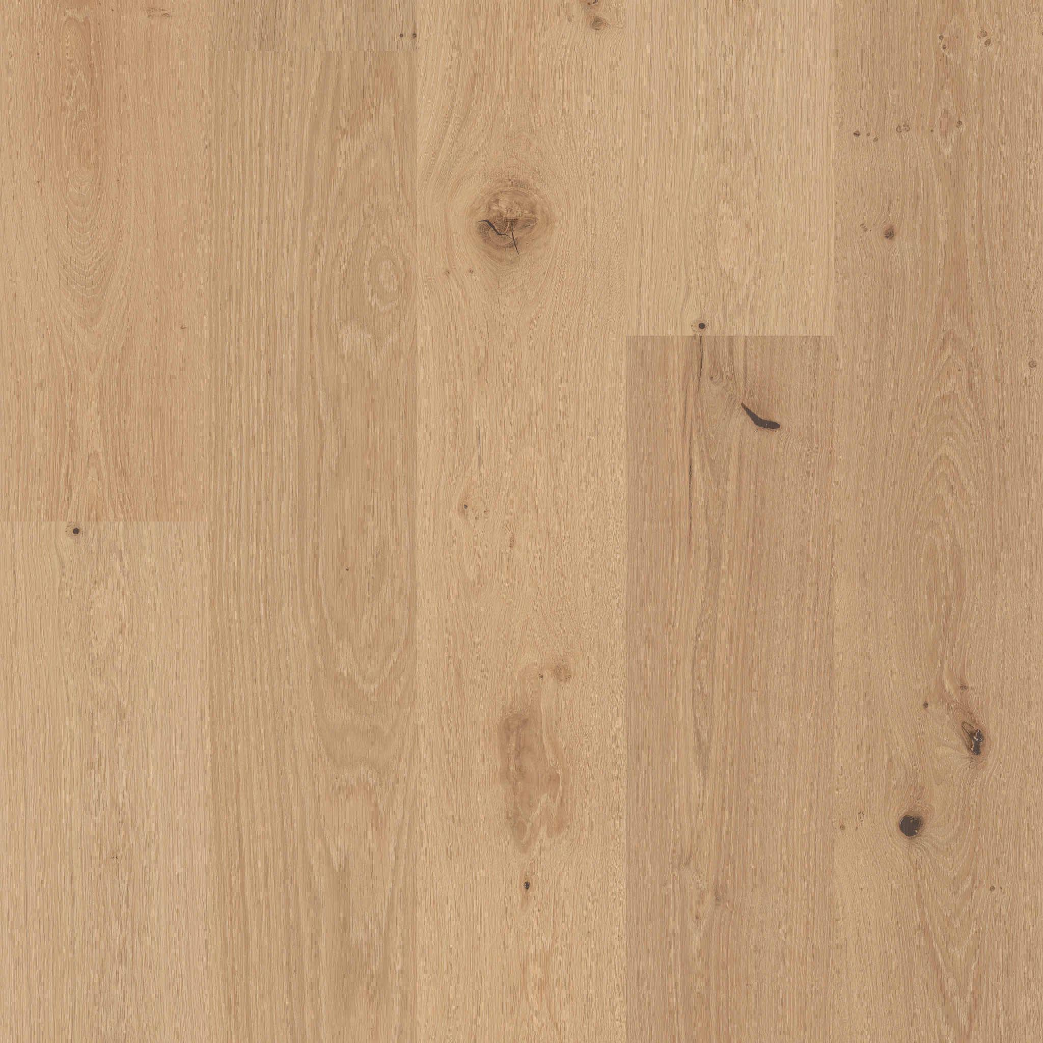 HERITAGE OAK PALAMINO MAIN