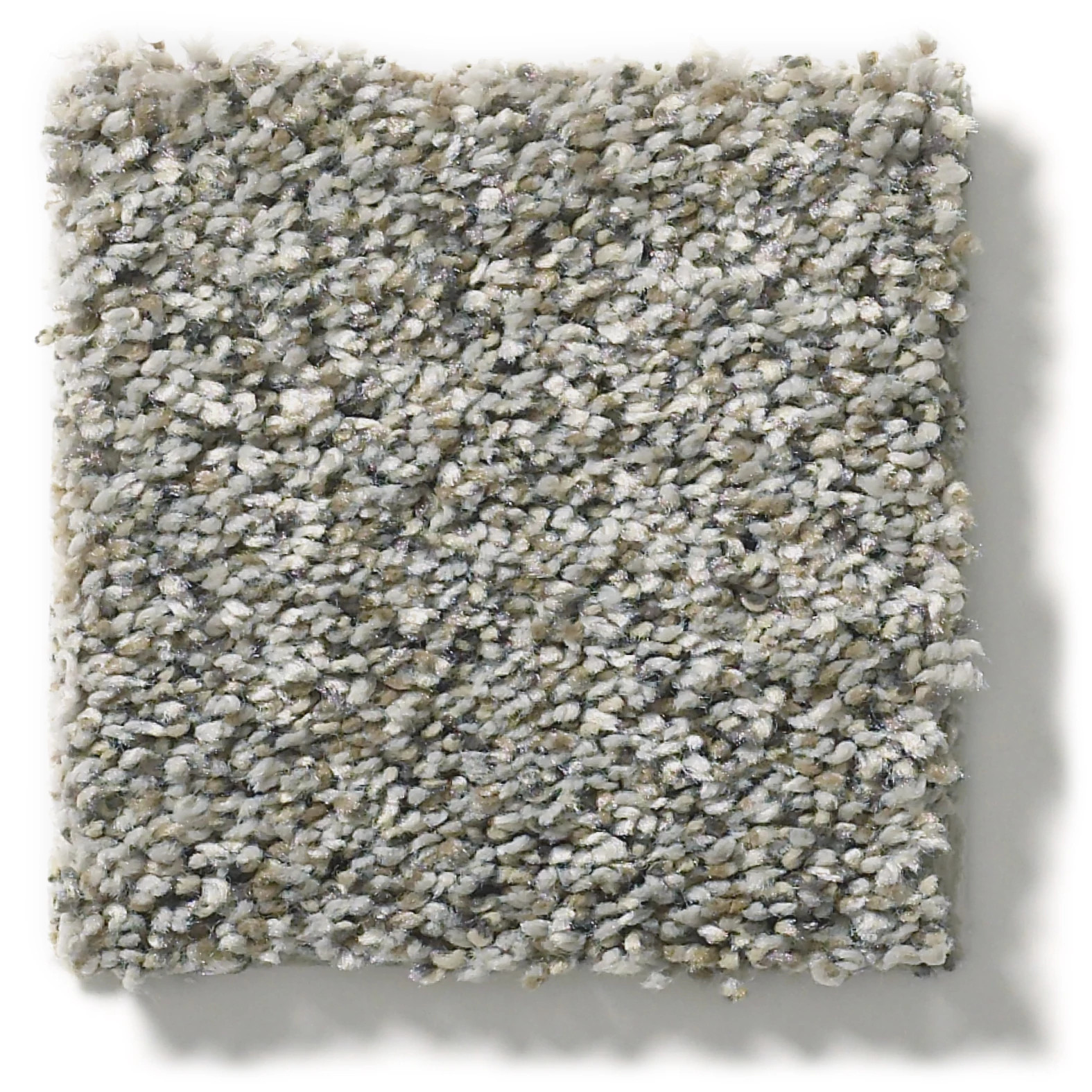 ALL SET I RHINO SWATCH