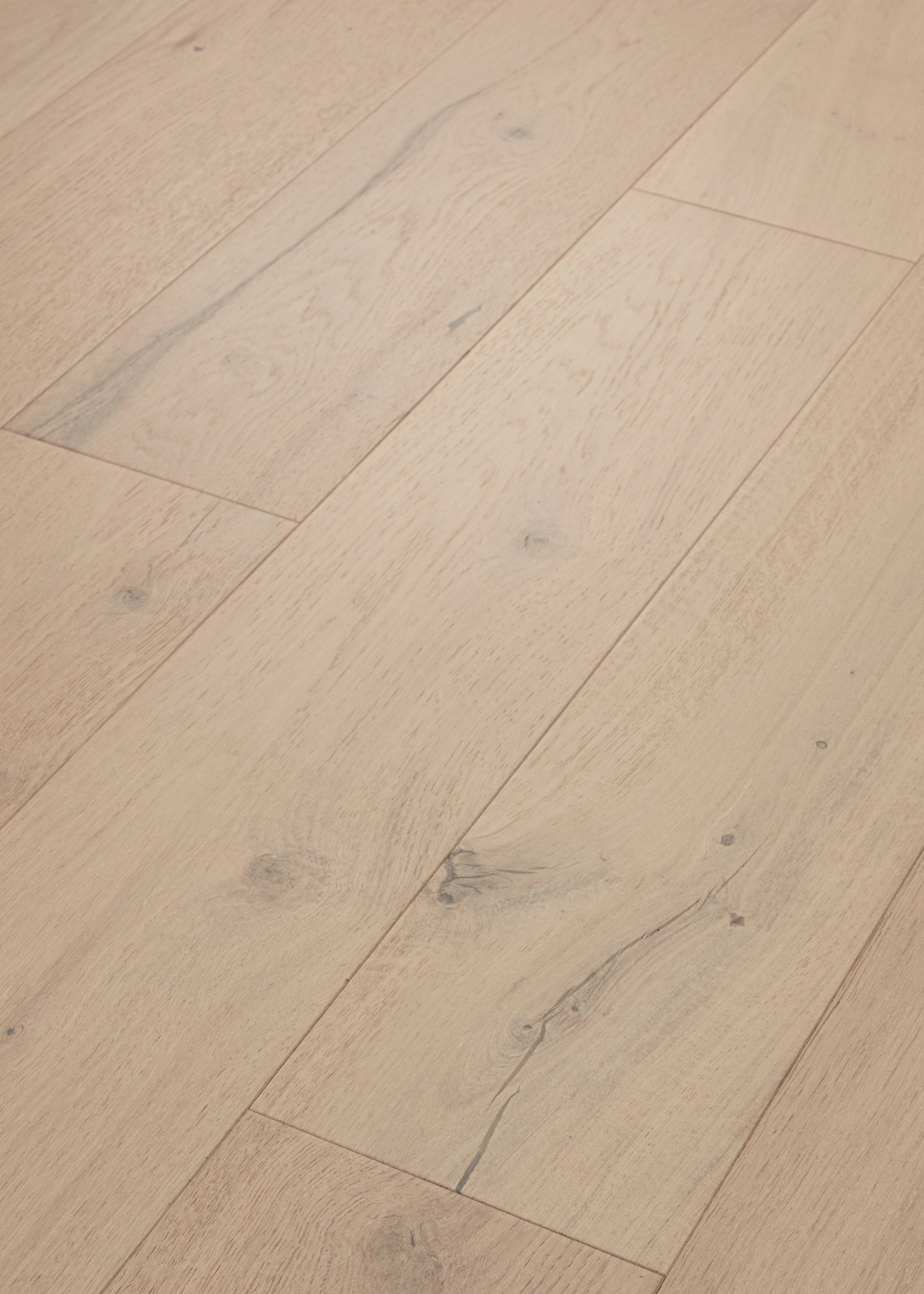 COAST TO COAST SANDBAR ANGLED