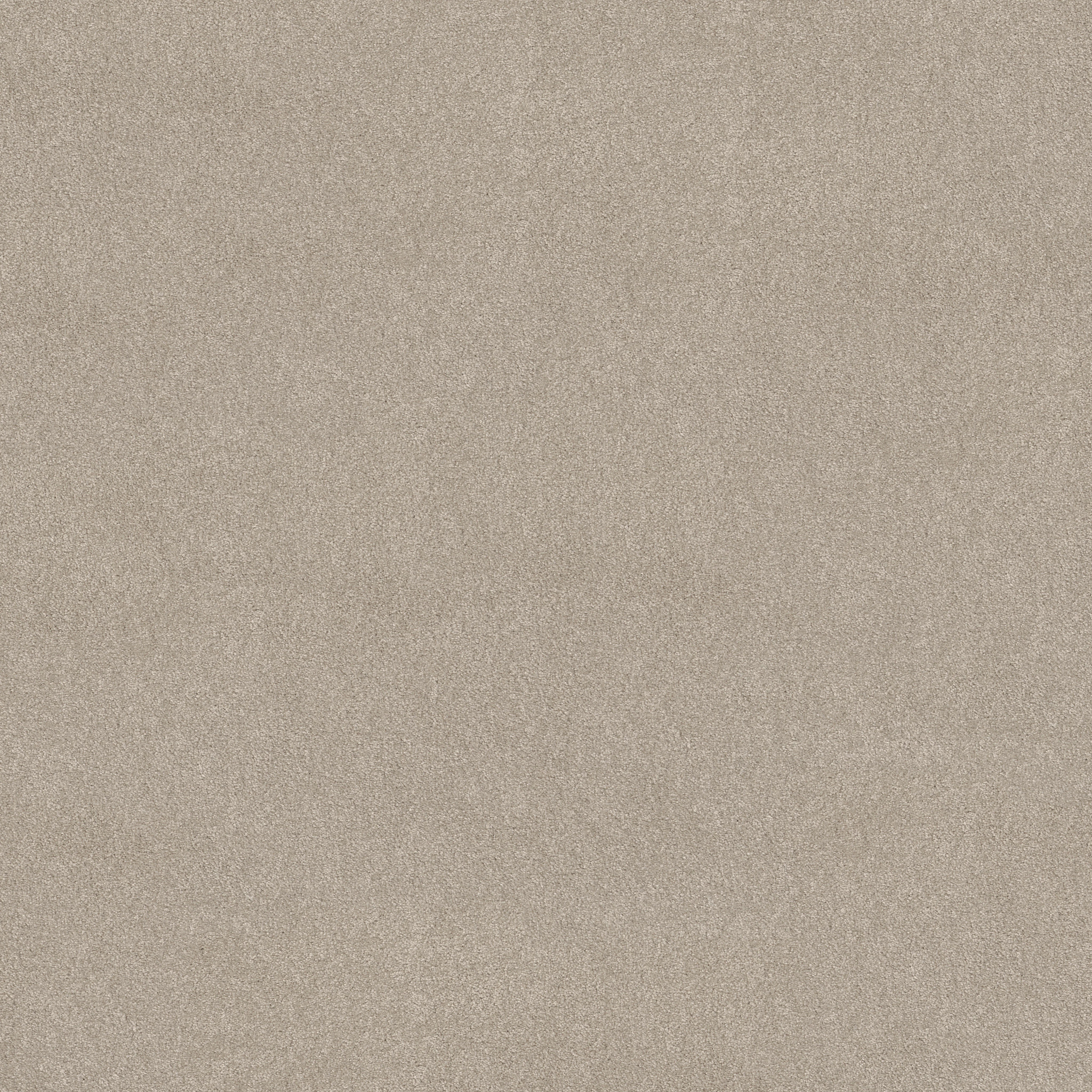 FANTASTICAL SOFT CHAMOIS MAIN