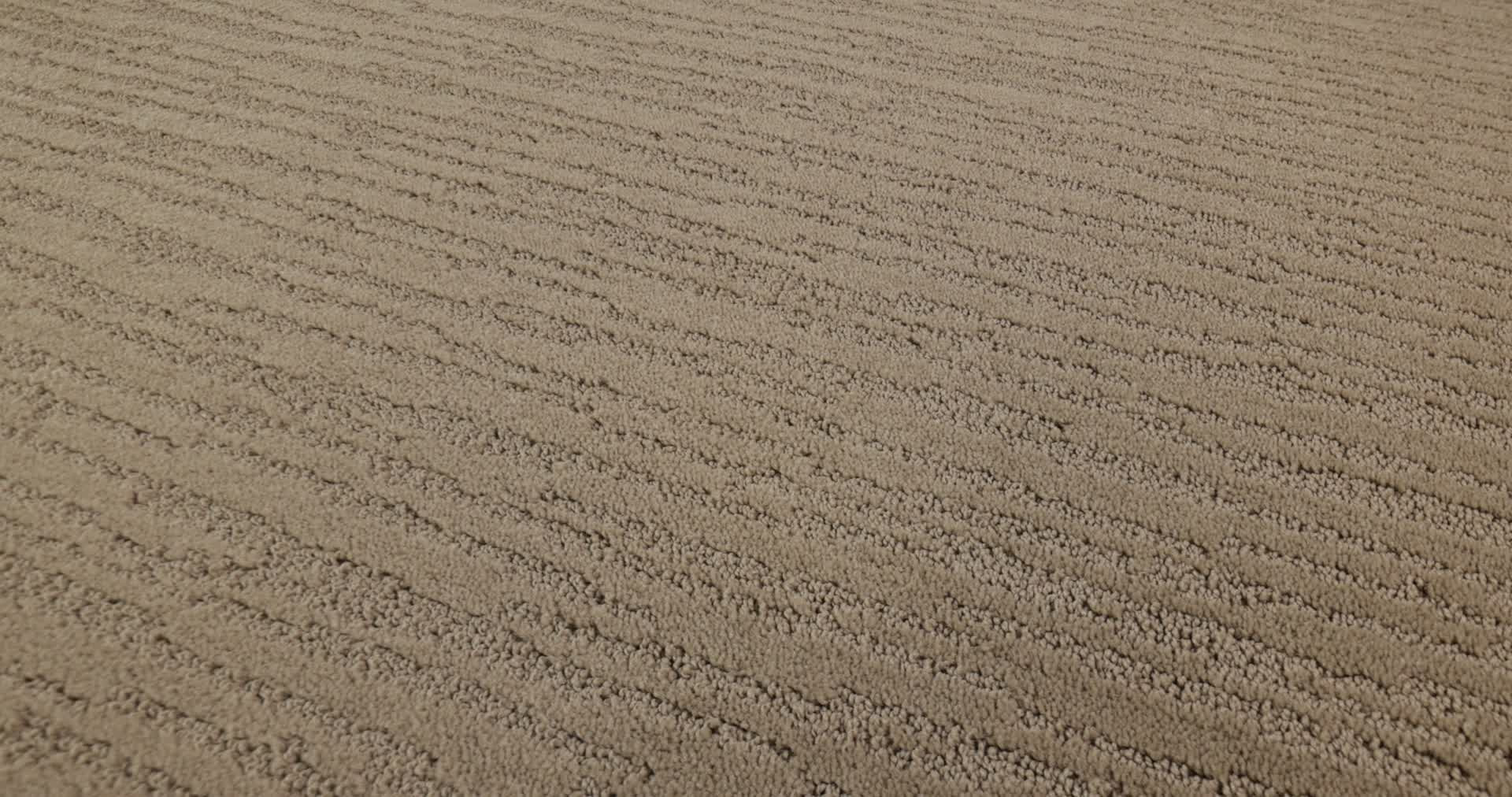 CHAMBERS BAY HIKING TRAIL 360PROD