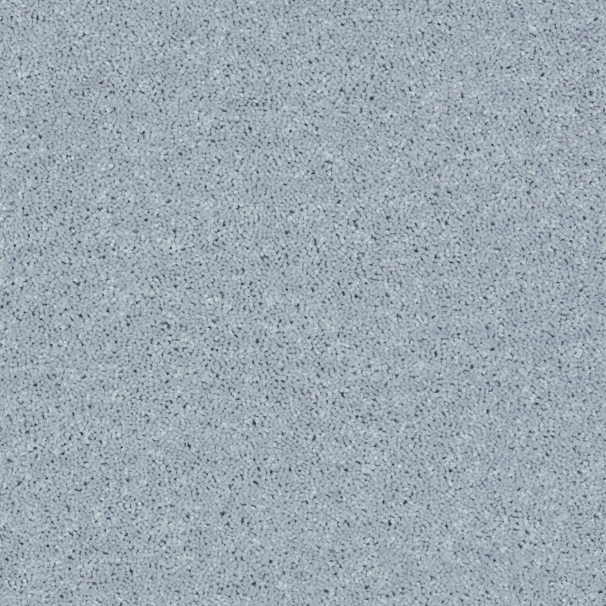 POINT GUARD 12' SILVER SPOON MAIN