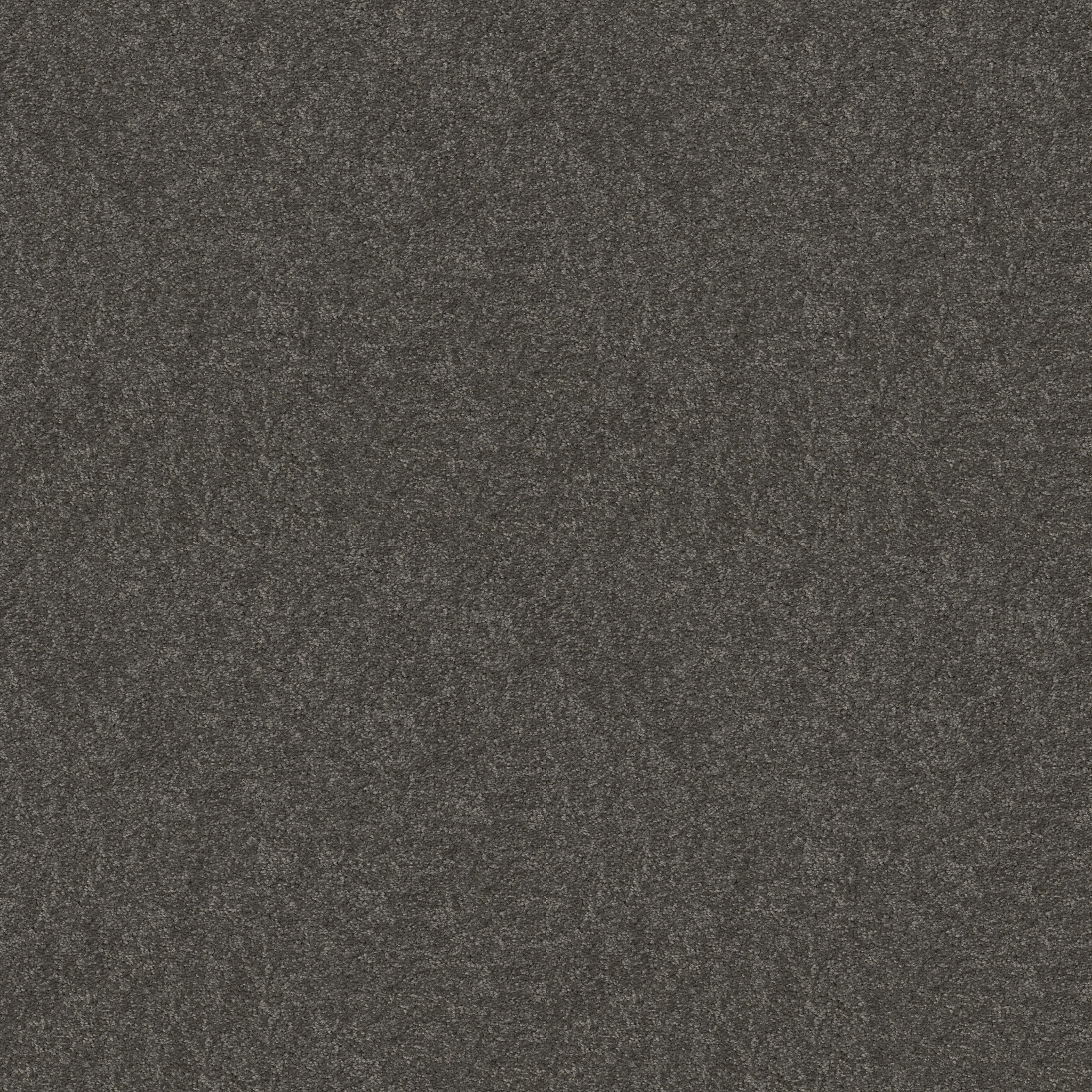 CHALLENGE ACCEPTED I 12' CHARCOAL MAIN