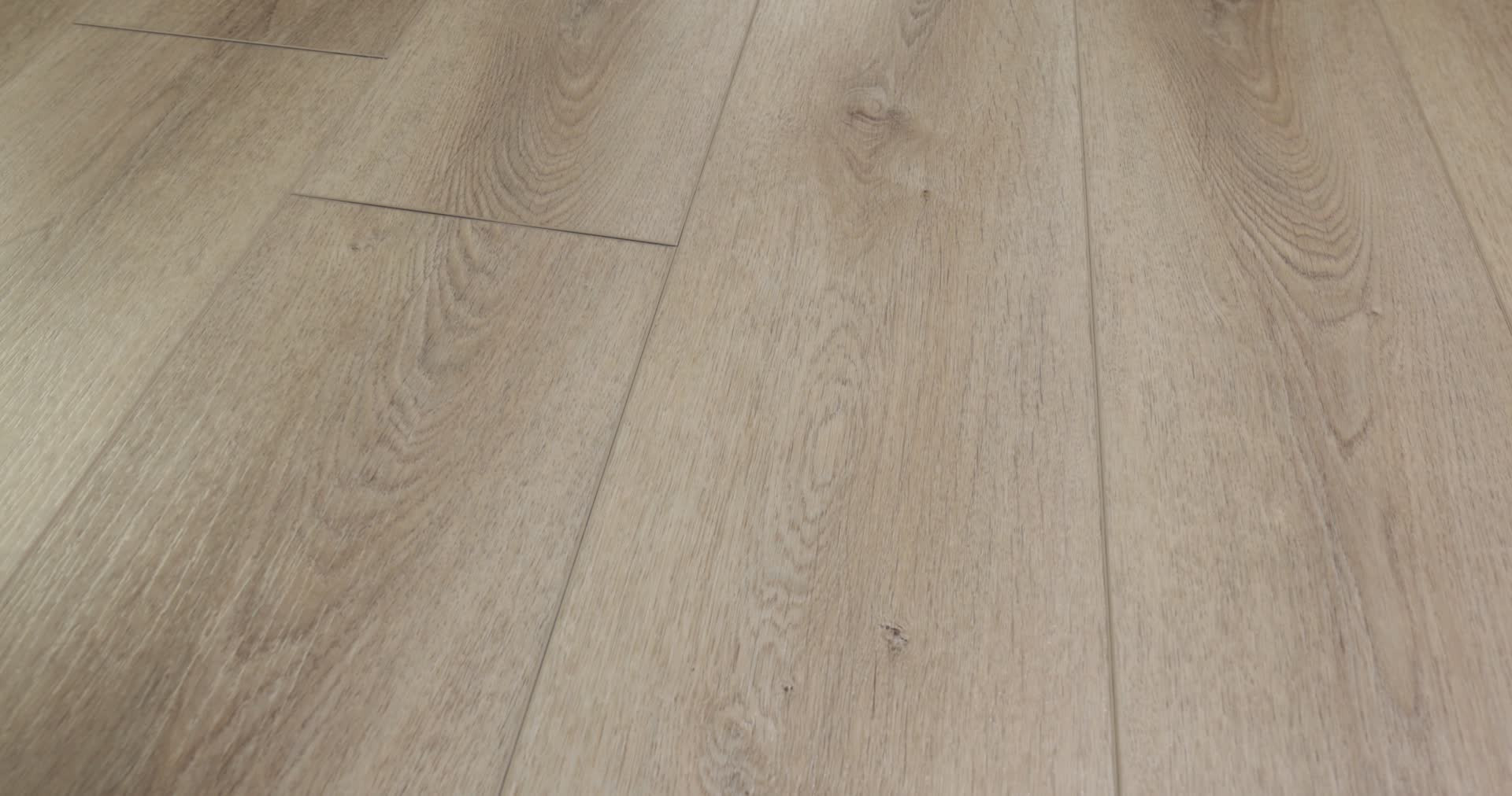 PALADIN PLUS TOASTED TAUPE 360PROD