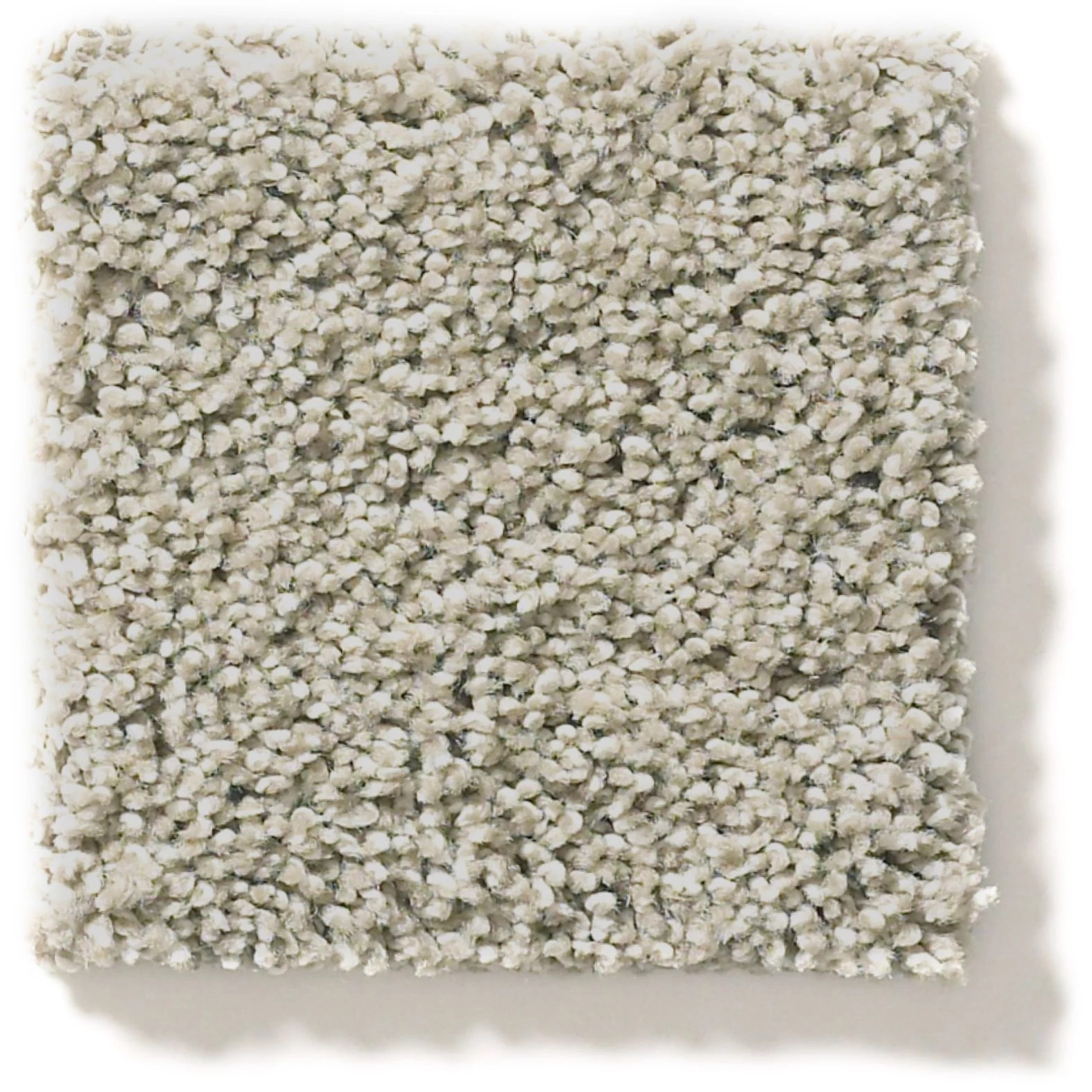 OCEAN VIEW SHADOW SWATCH