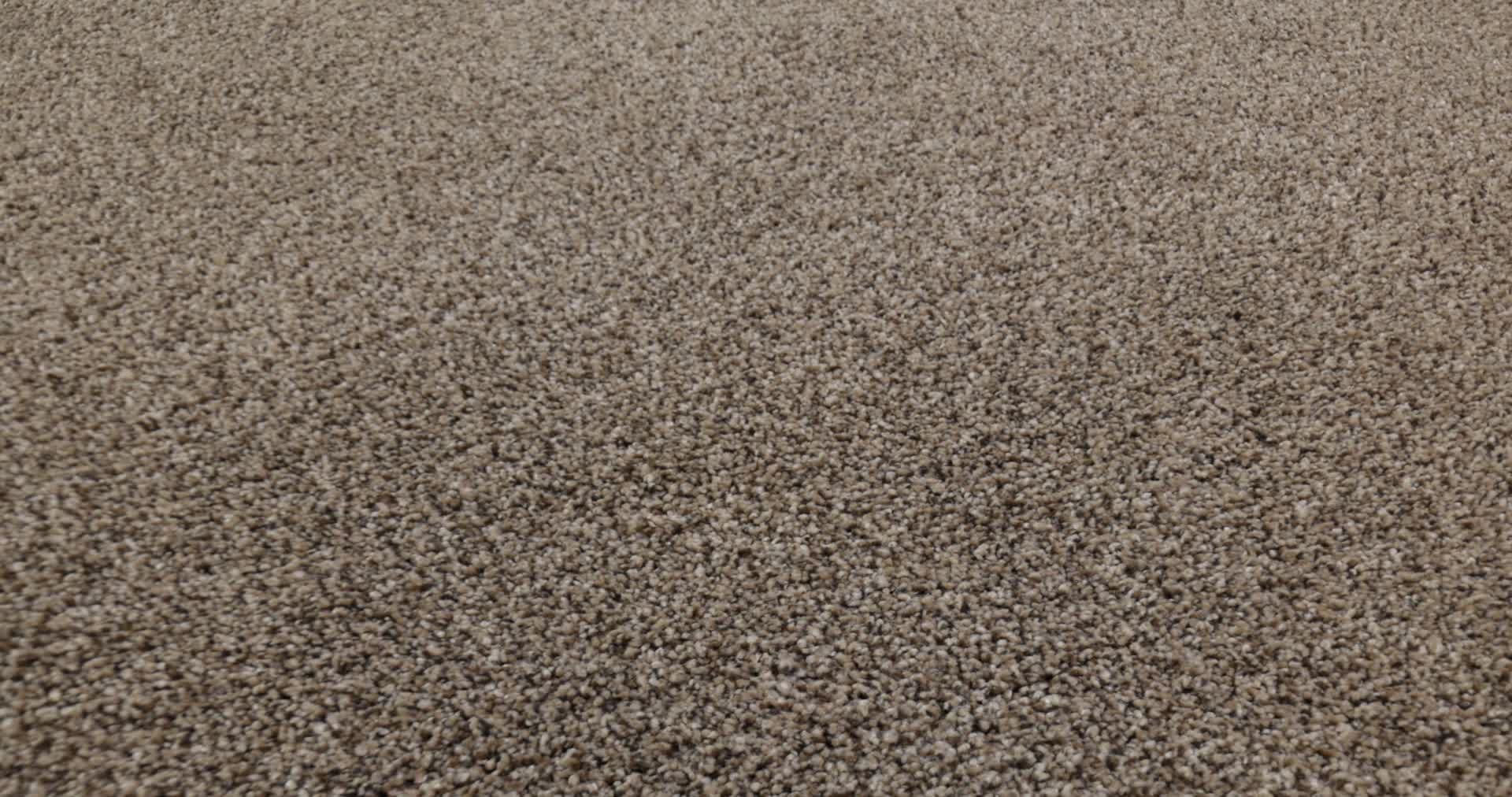 ELEVATED III RODEO 360PROD